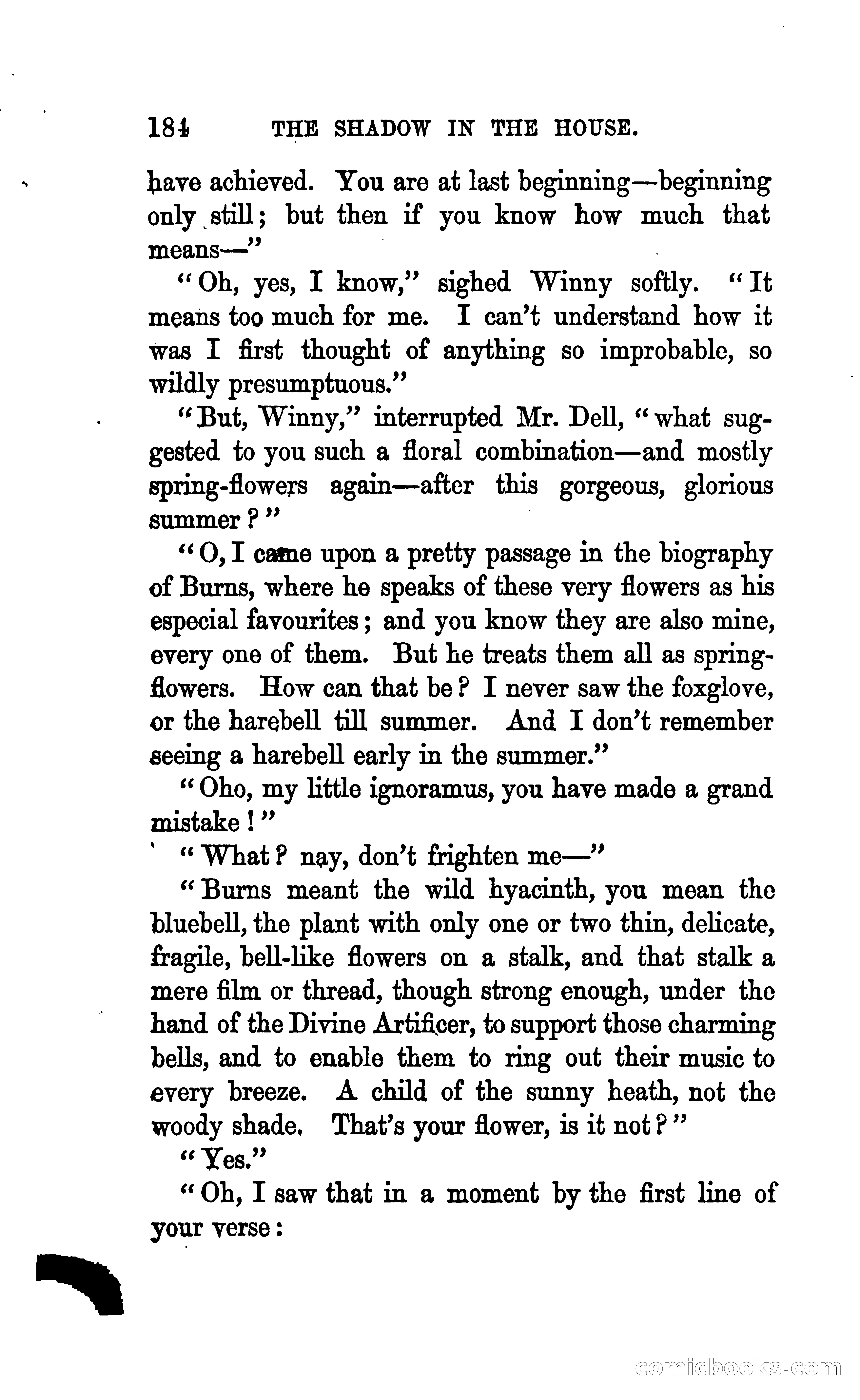 The Shadow in the House — page 191 of 396