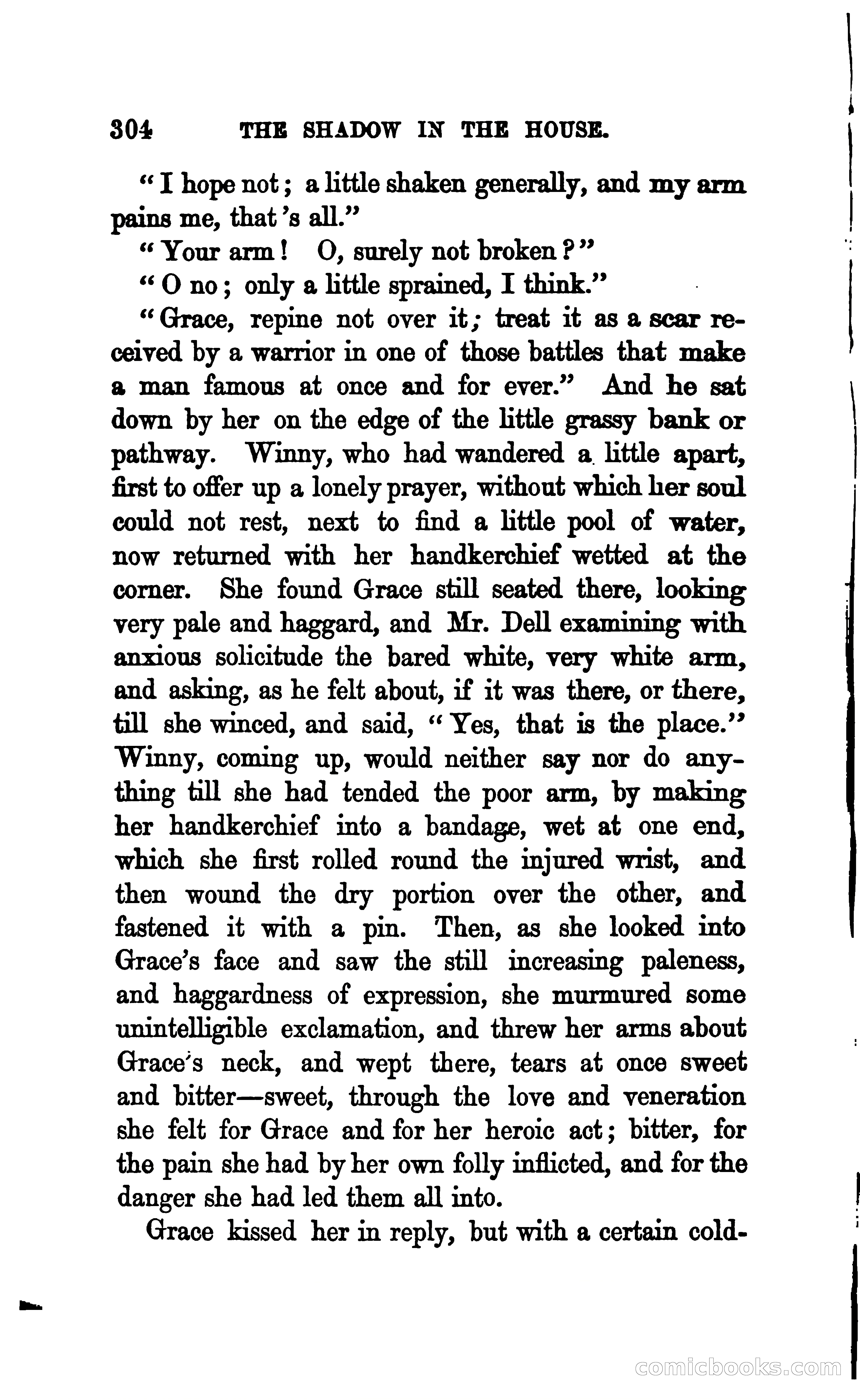 The Shadow in the House — page 311 of 396