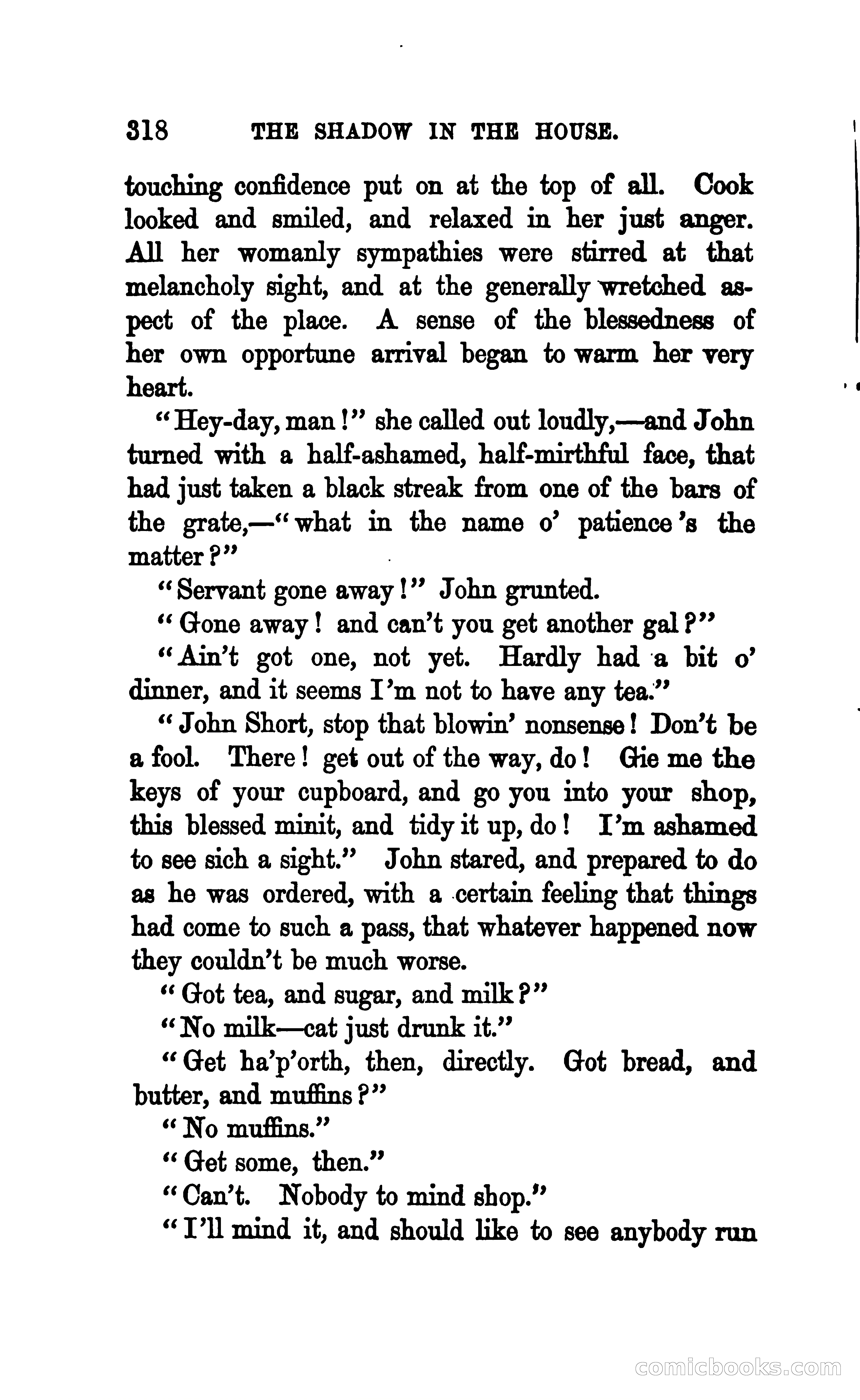 The Shadow in the House — page 325 of 396
