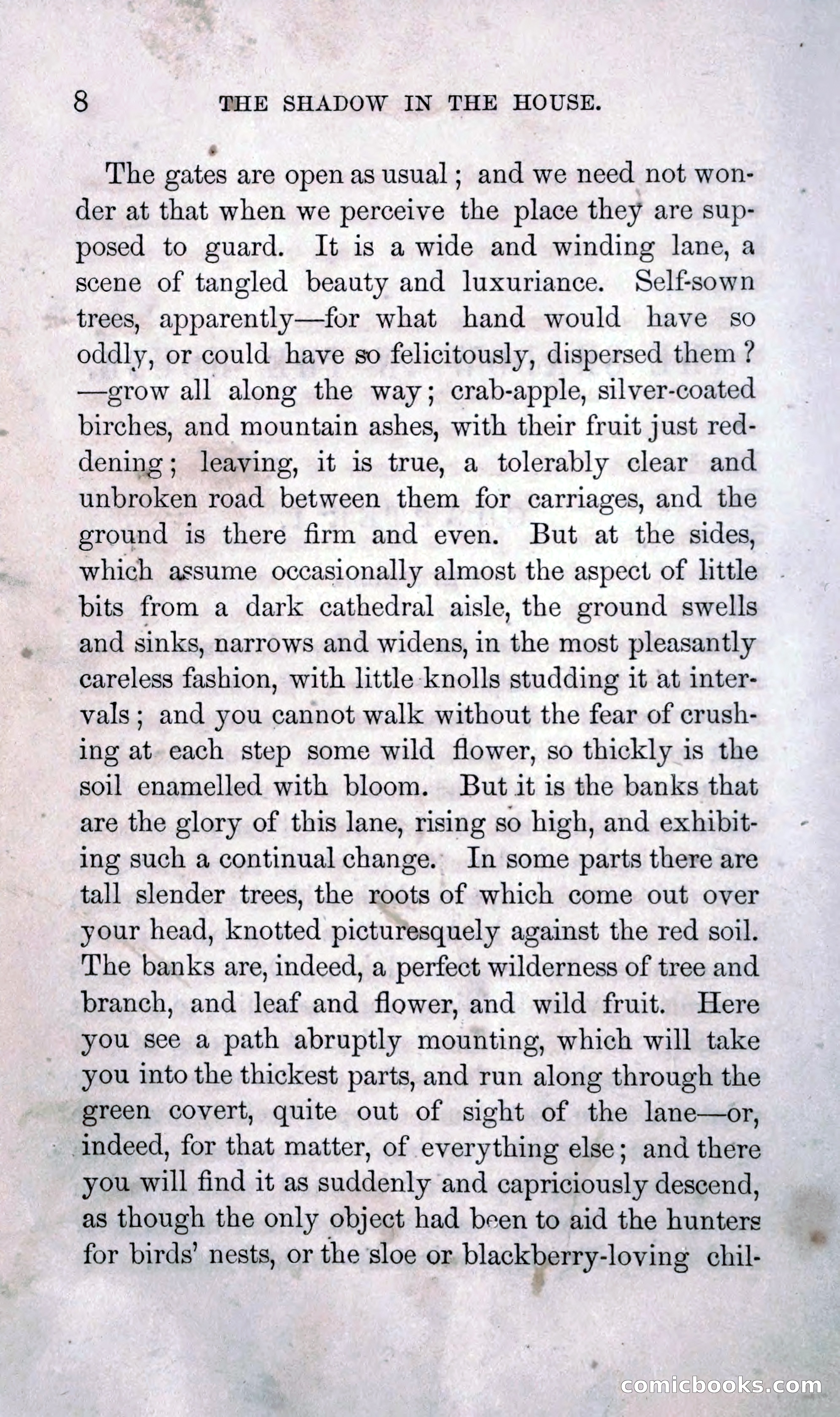 The Shadow in the House — page 17 of 397