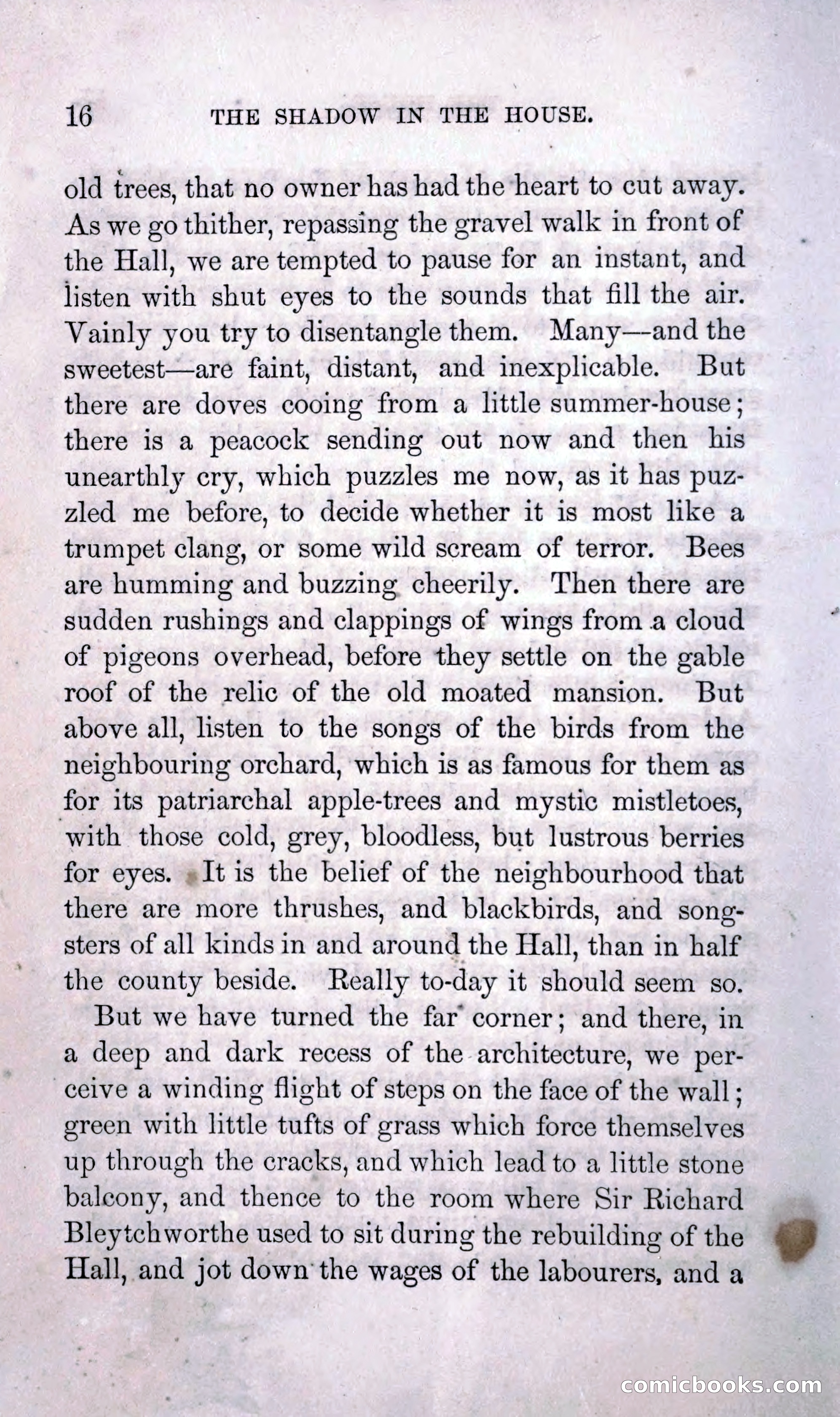 The Shadow in the House — page 25 of 397