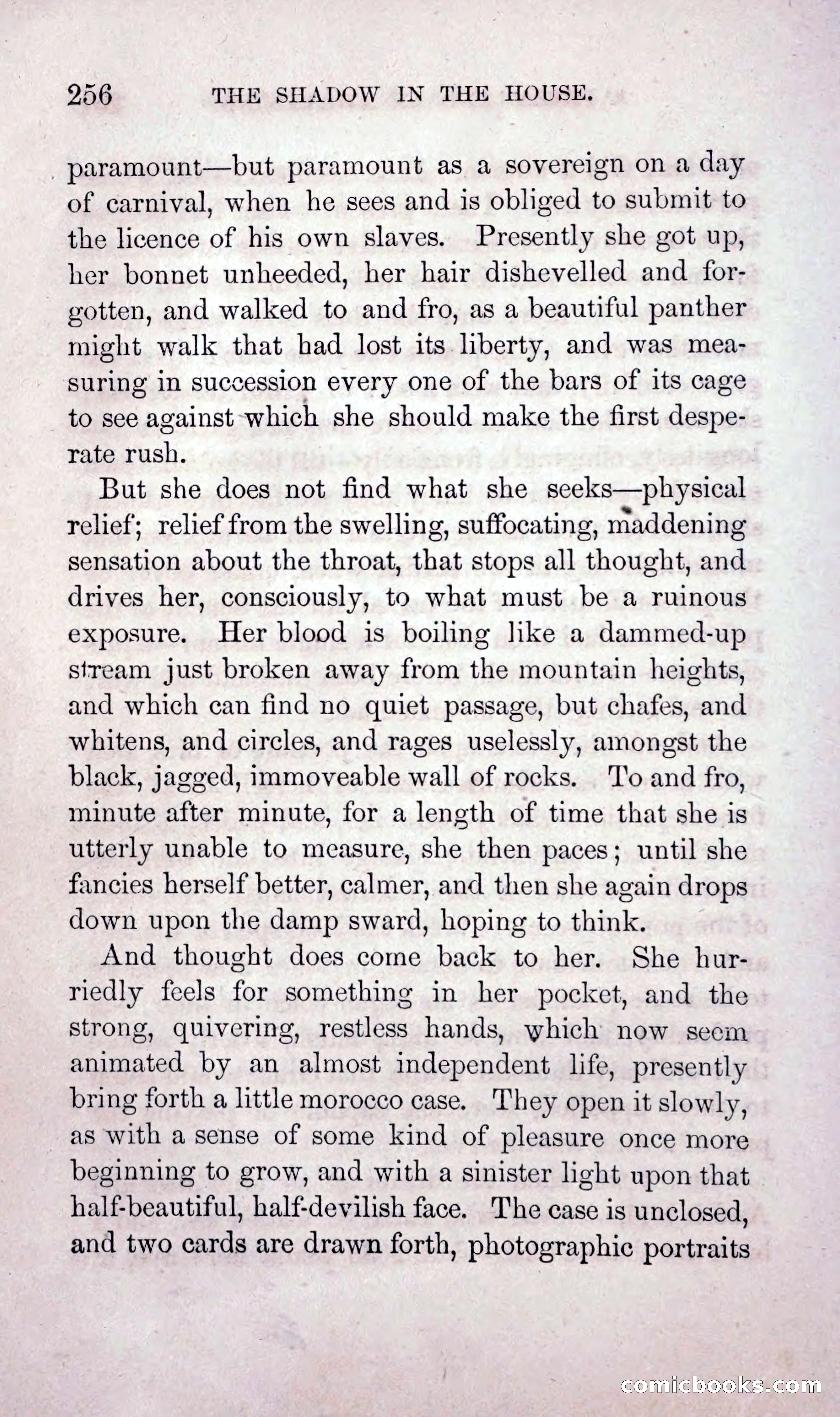 The Shadow in the House — page 265 of 397