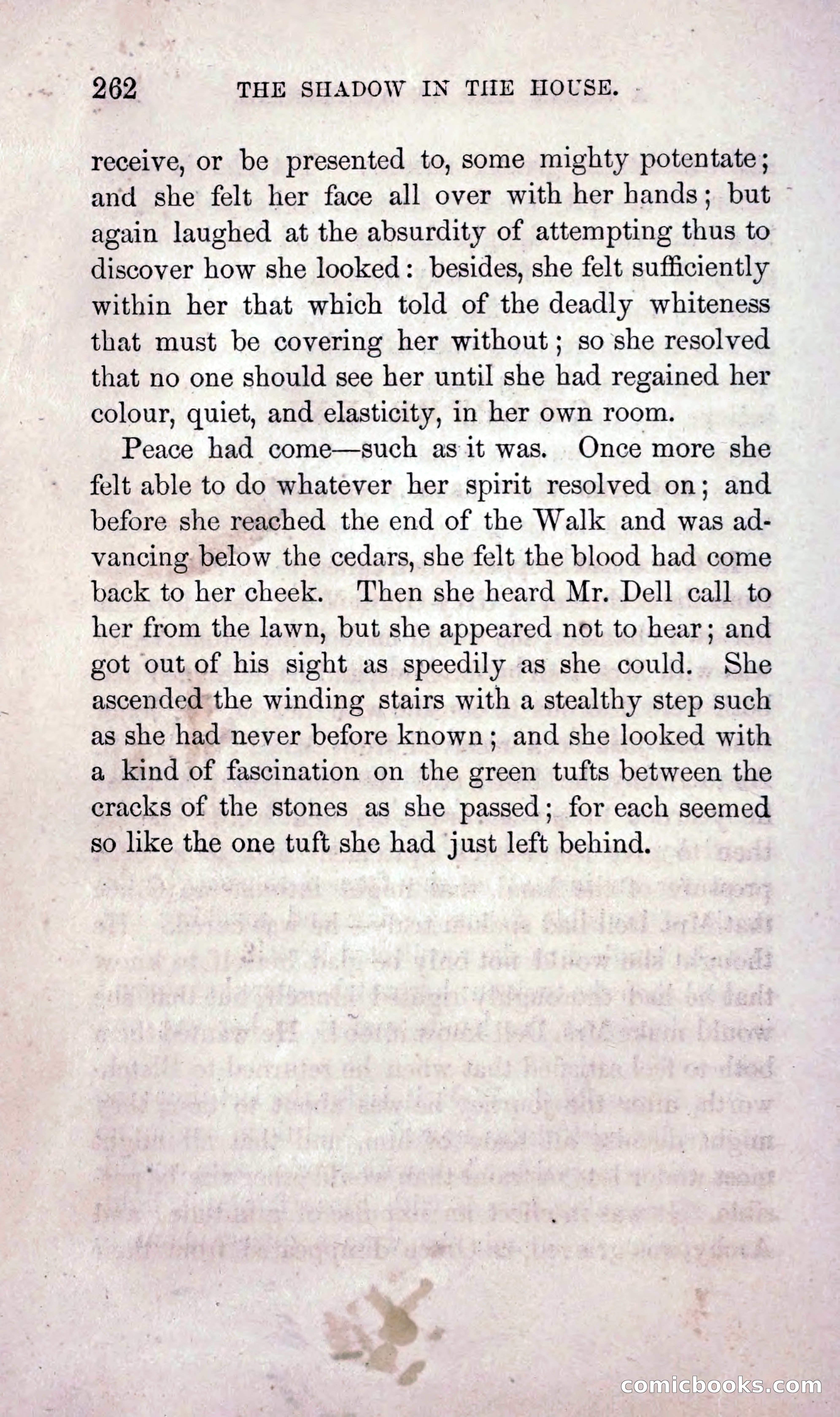 The Shadow in the House — page 271 of 397
