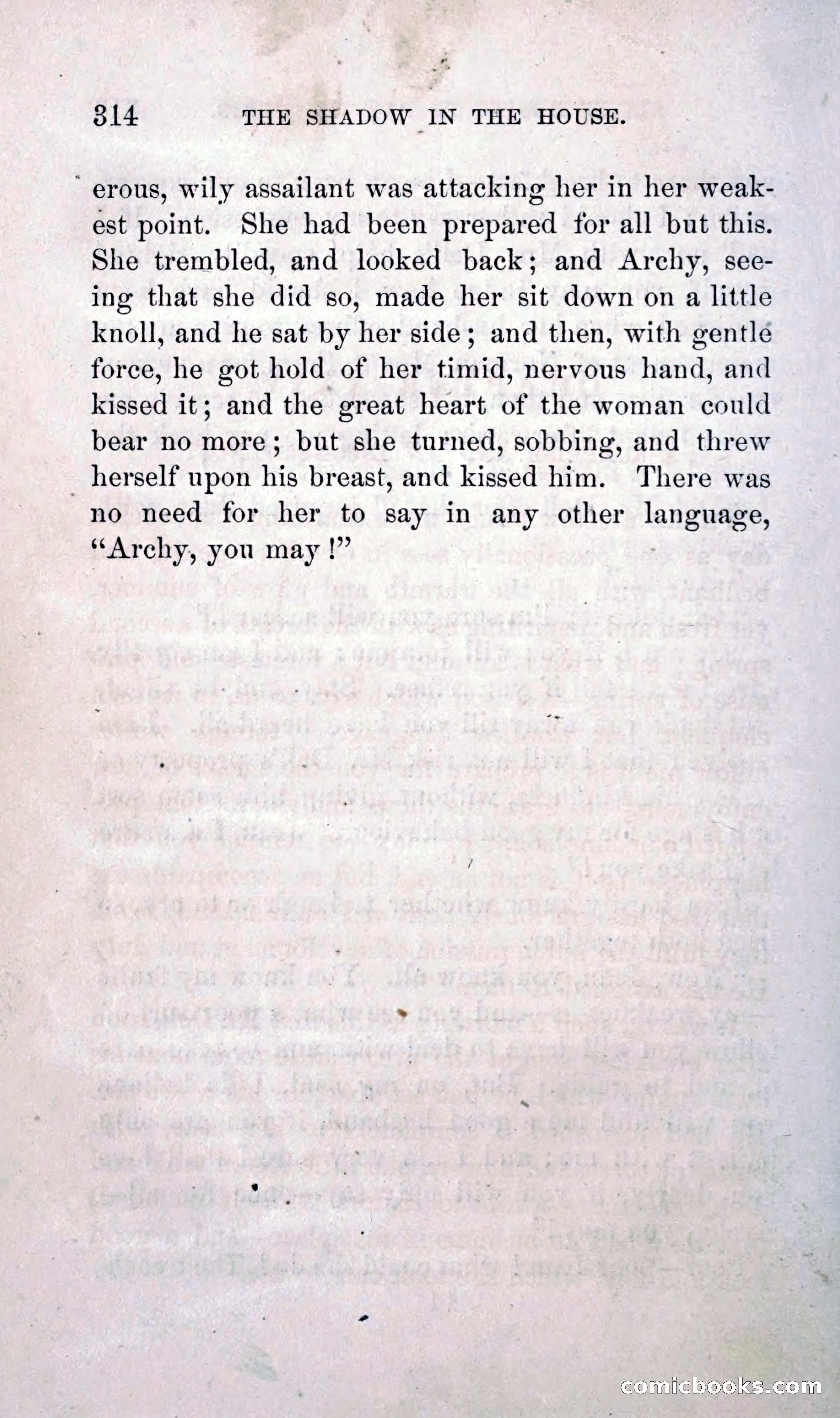 The Shadow in the House — page 323 of 397