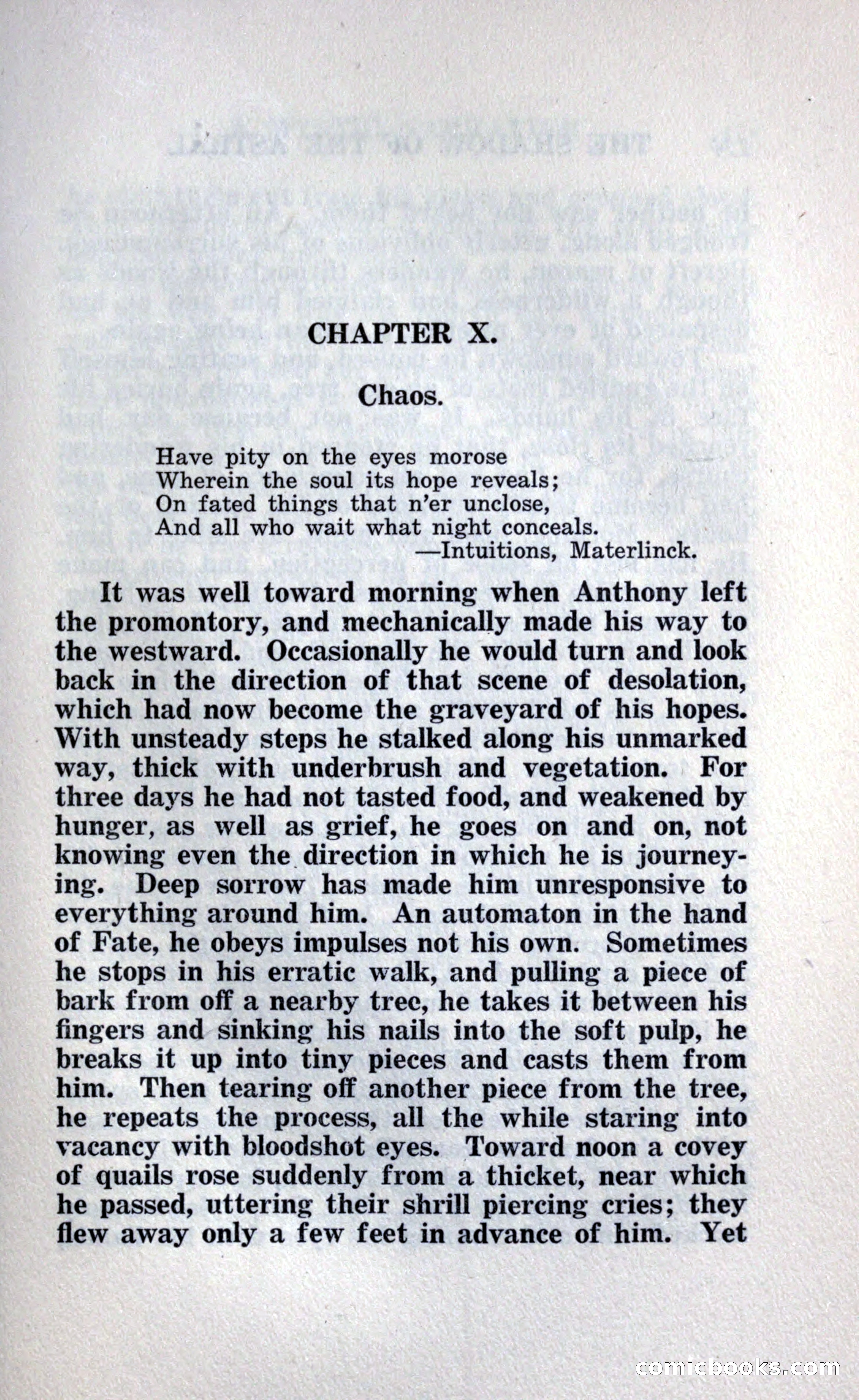 The Shadow of the Astral: A Mystic Narrative — page 139 of 348