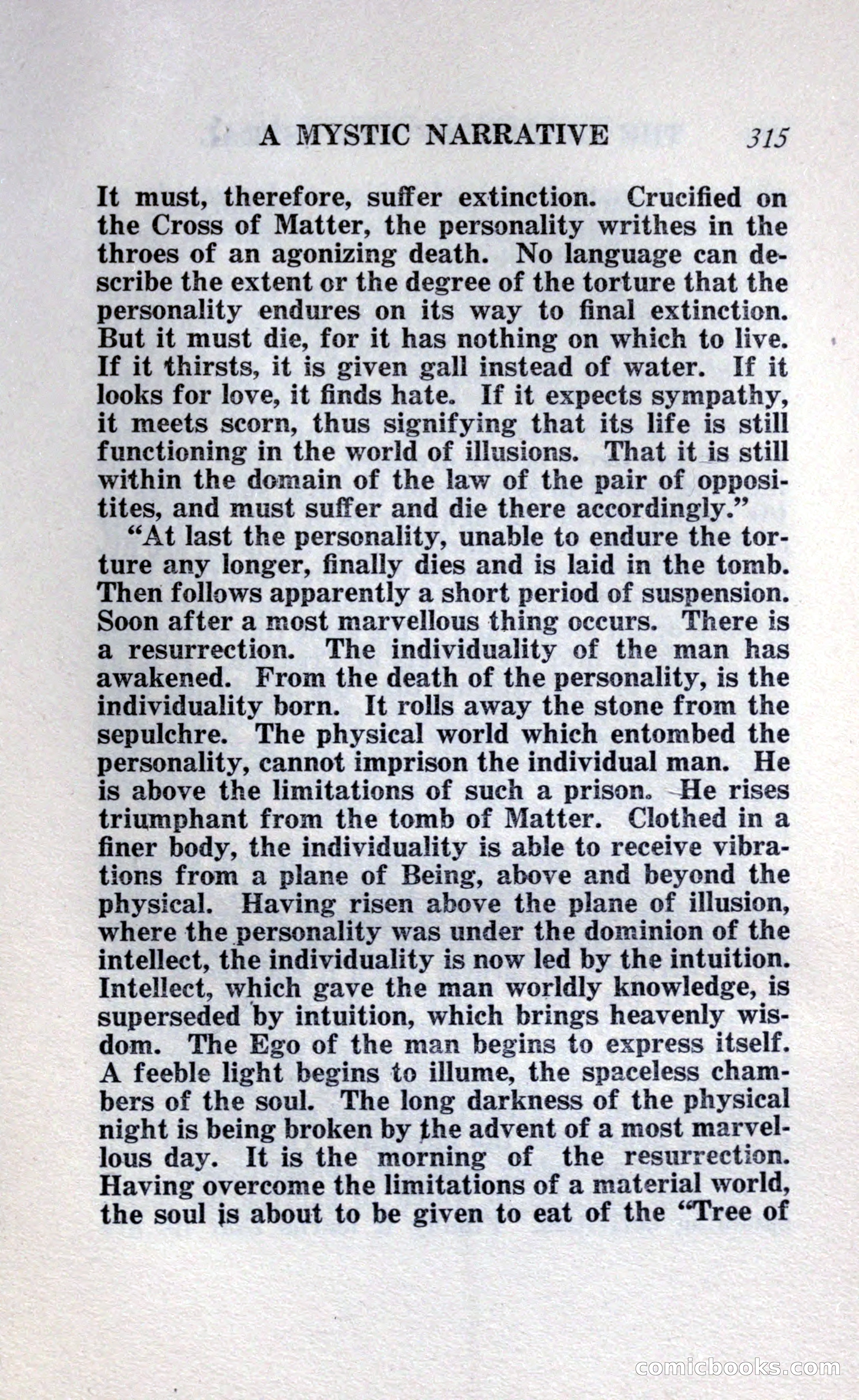 The Shadow of the Astral: A Mystic Narrative — page 321 of 348