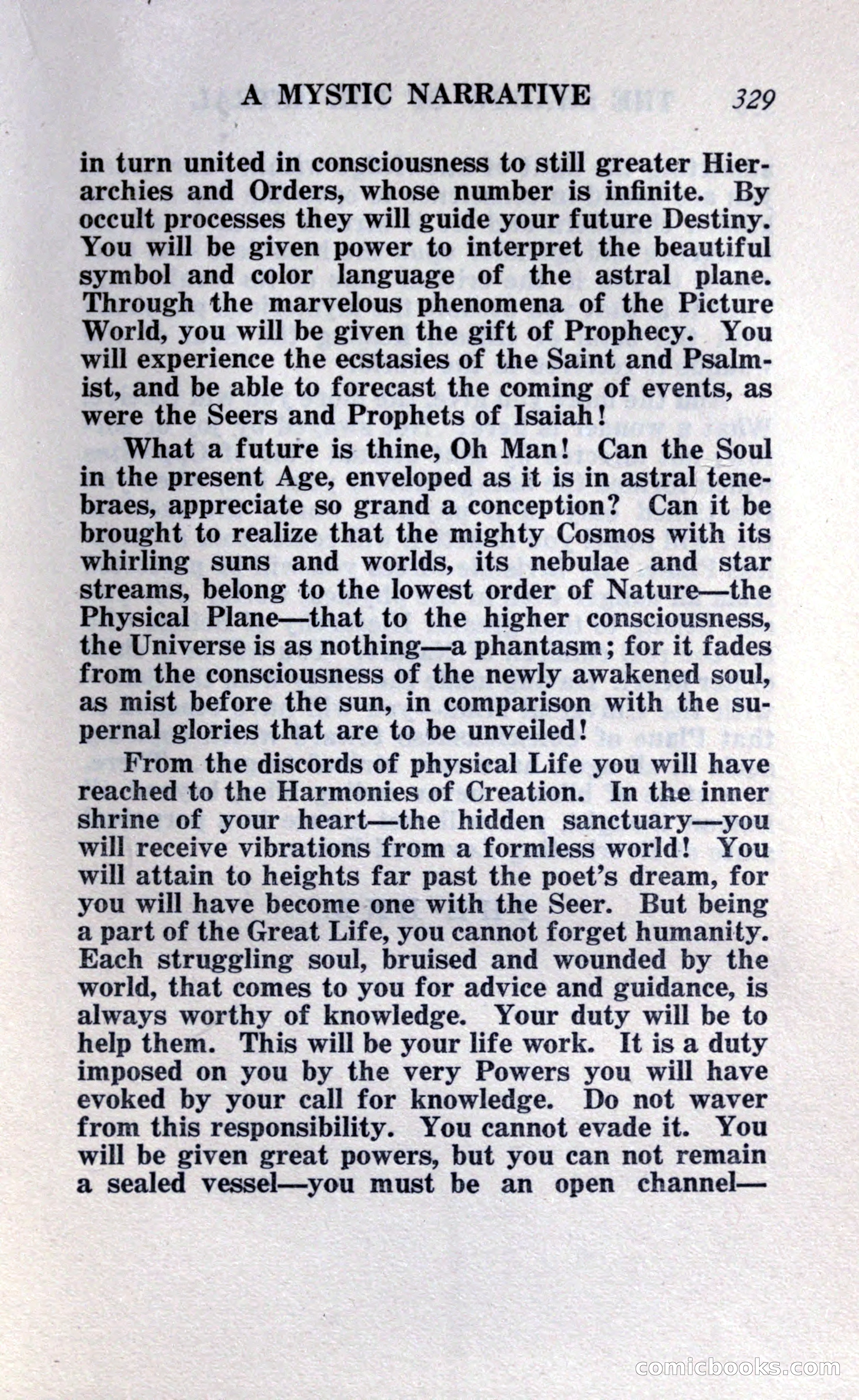 The Shadow of the Astral: A Mystic Narrative — page 335 of 348
