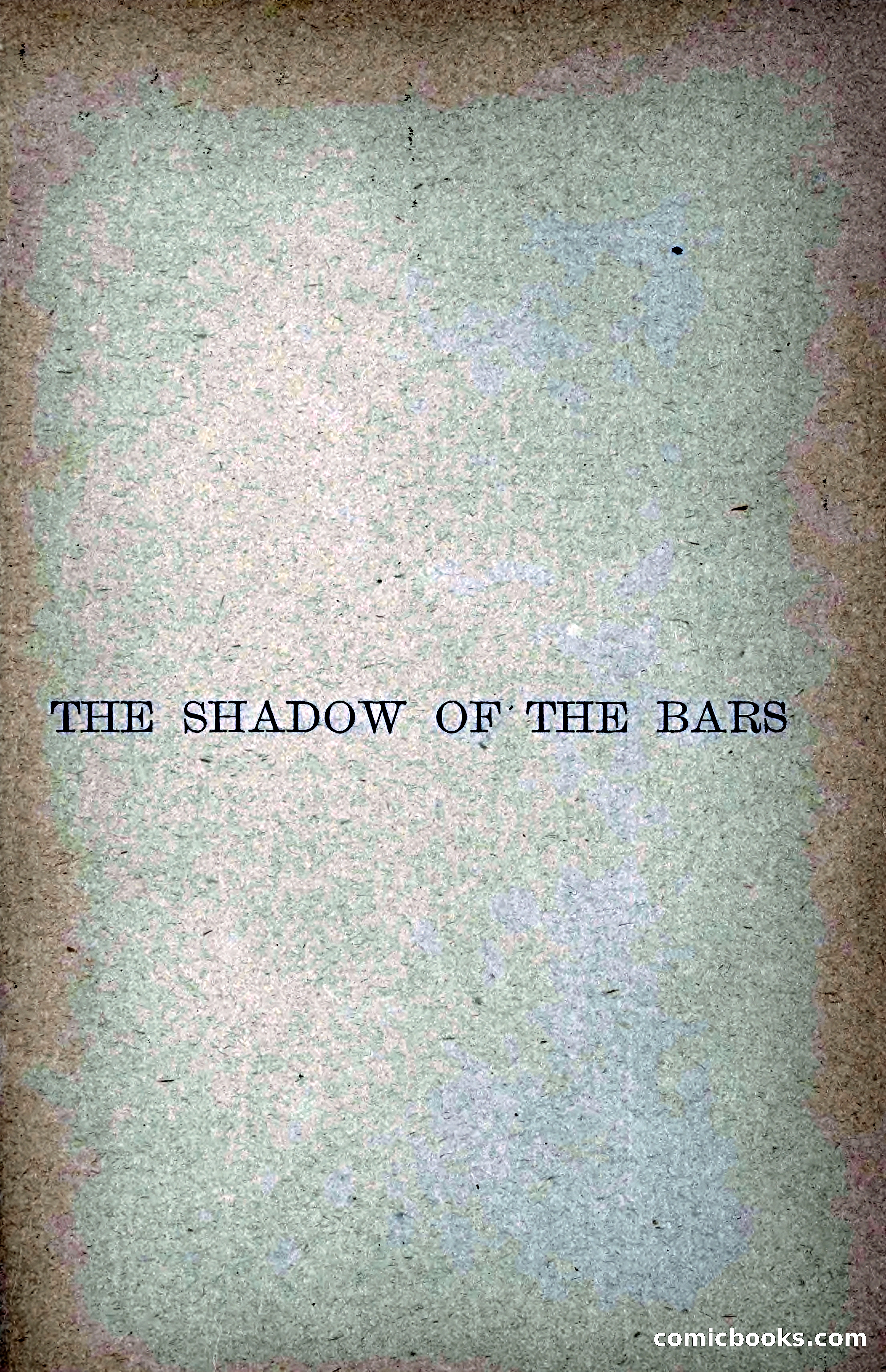 The Shadow of the Bars — page 10 of 97