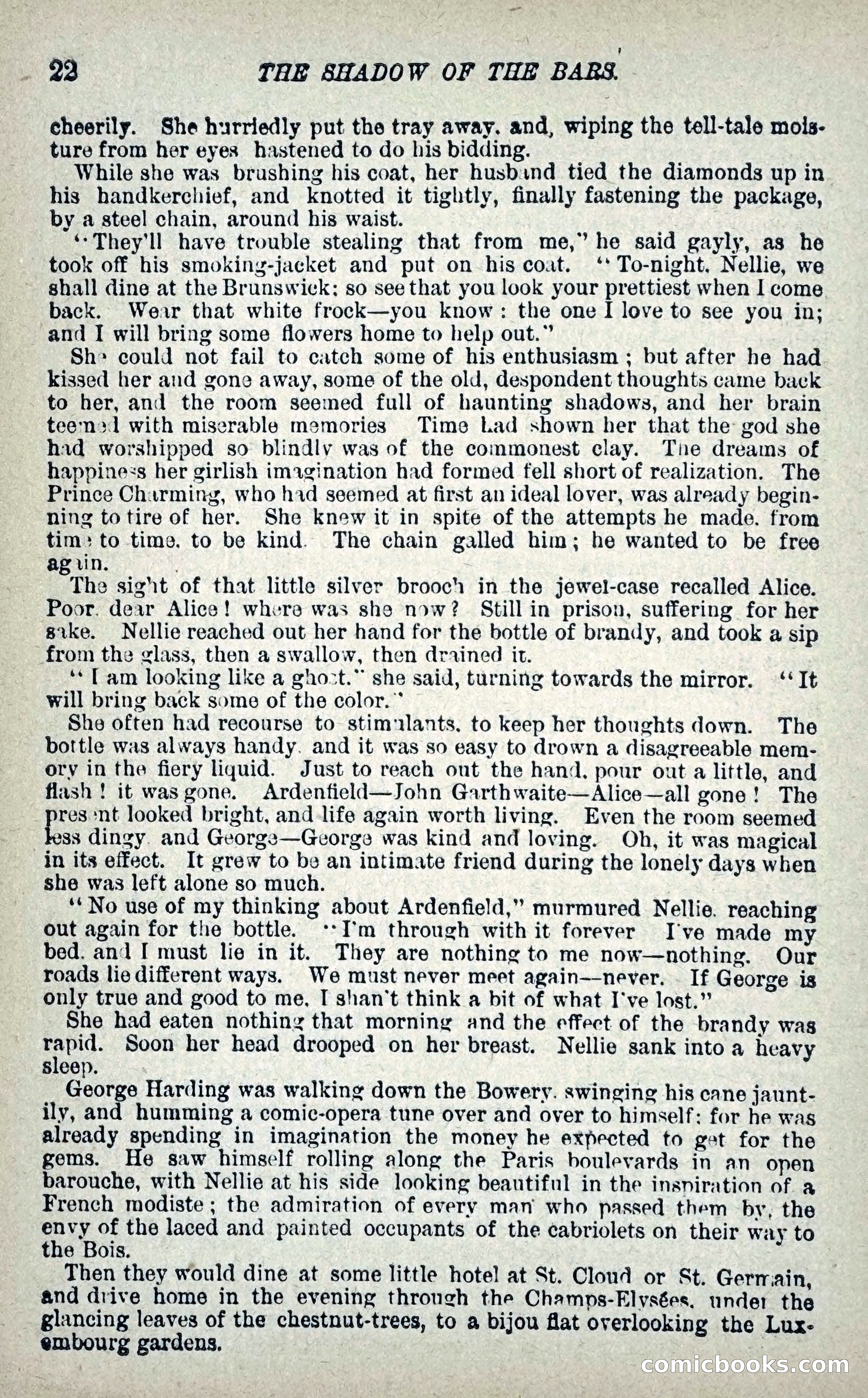 The Shadow of the Bars — page 31 of 97