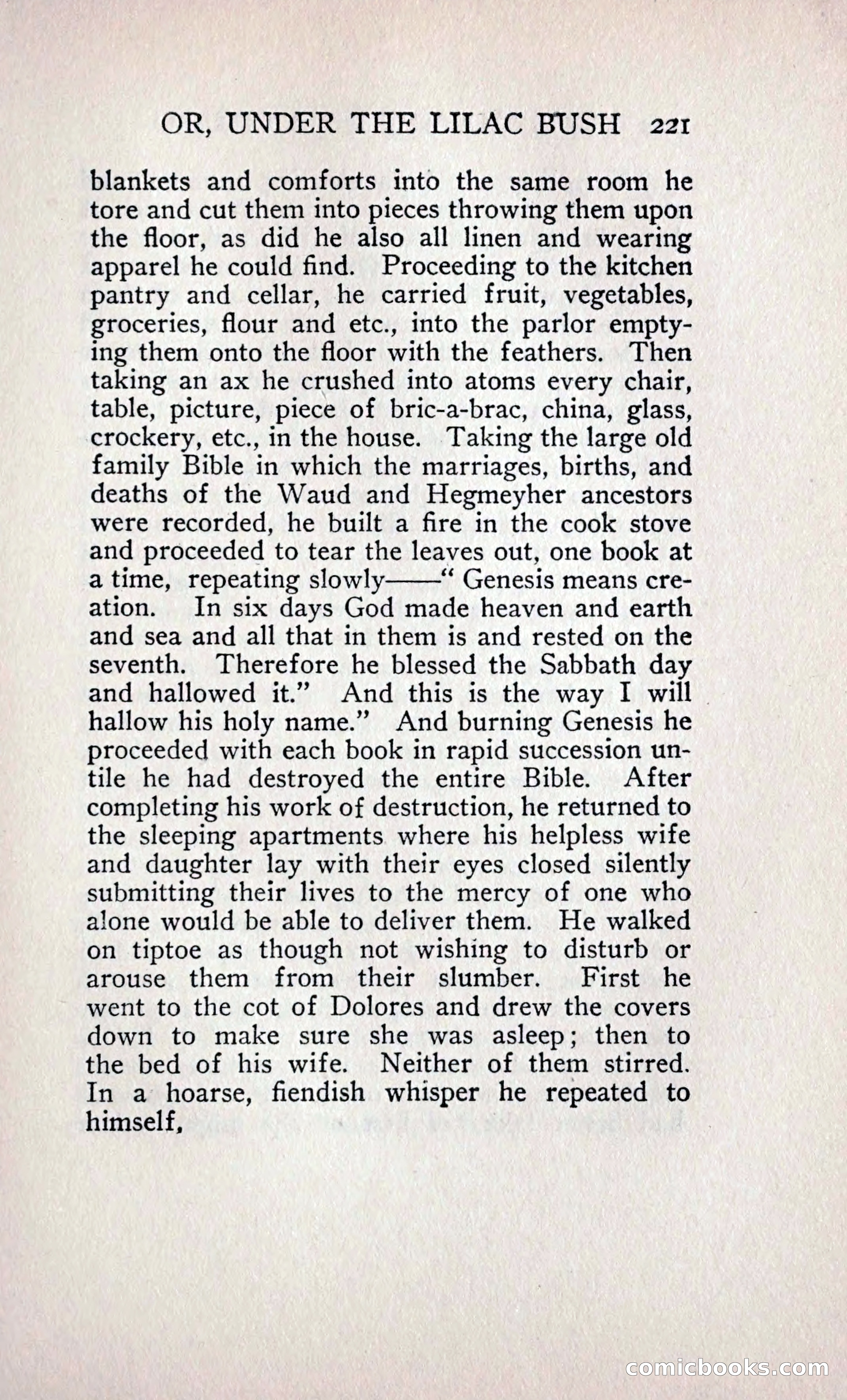 The Shadow of a Curse — page 242 of 399