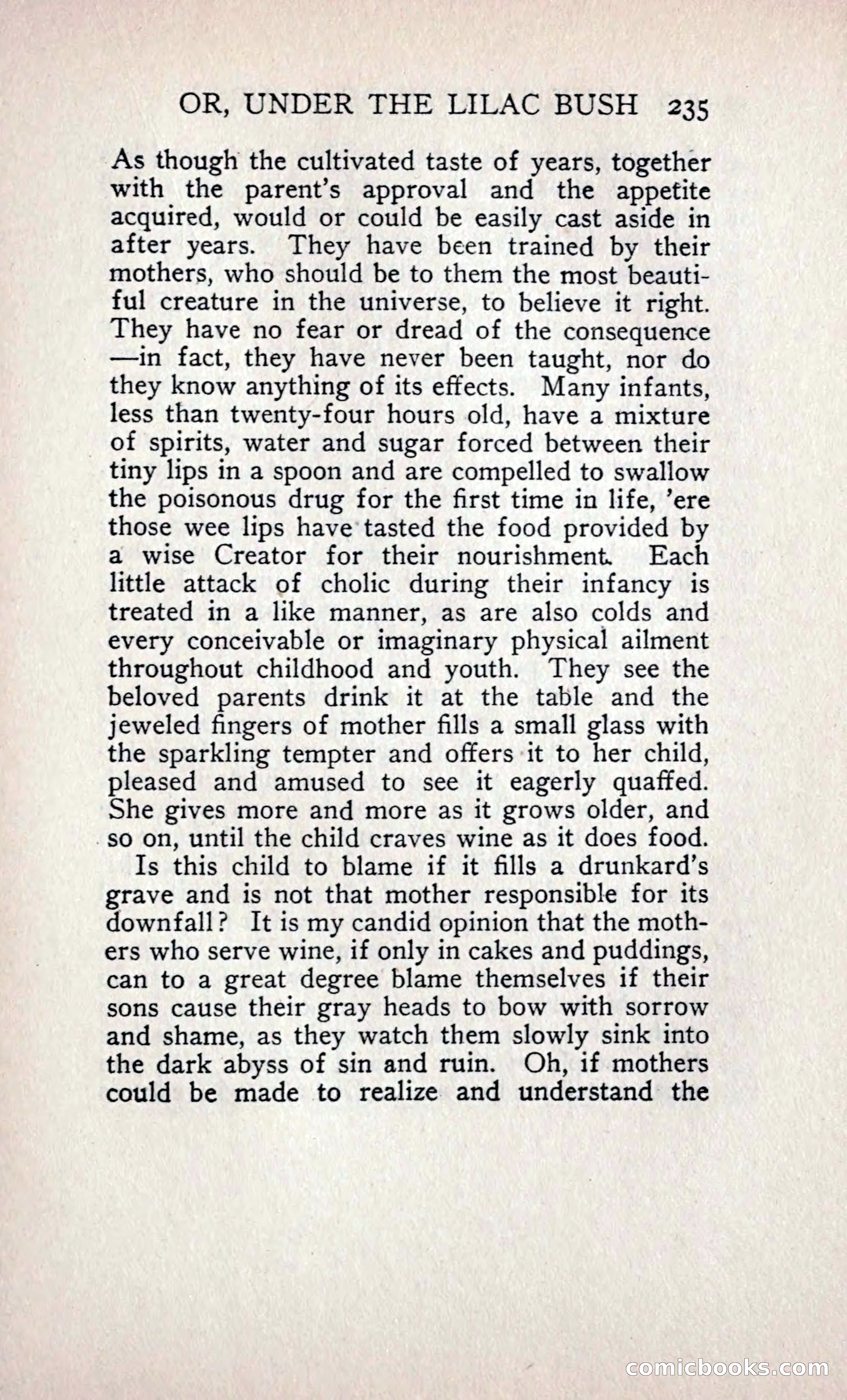 The Shadow of a Curse — page 256 of 399