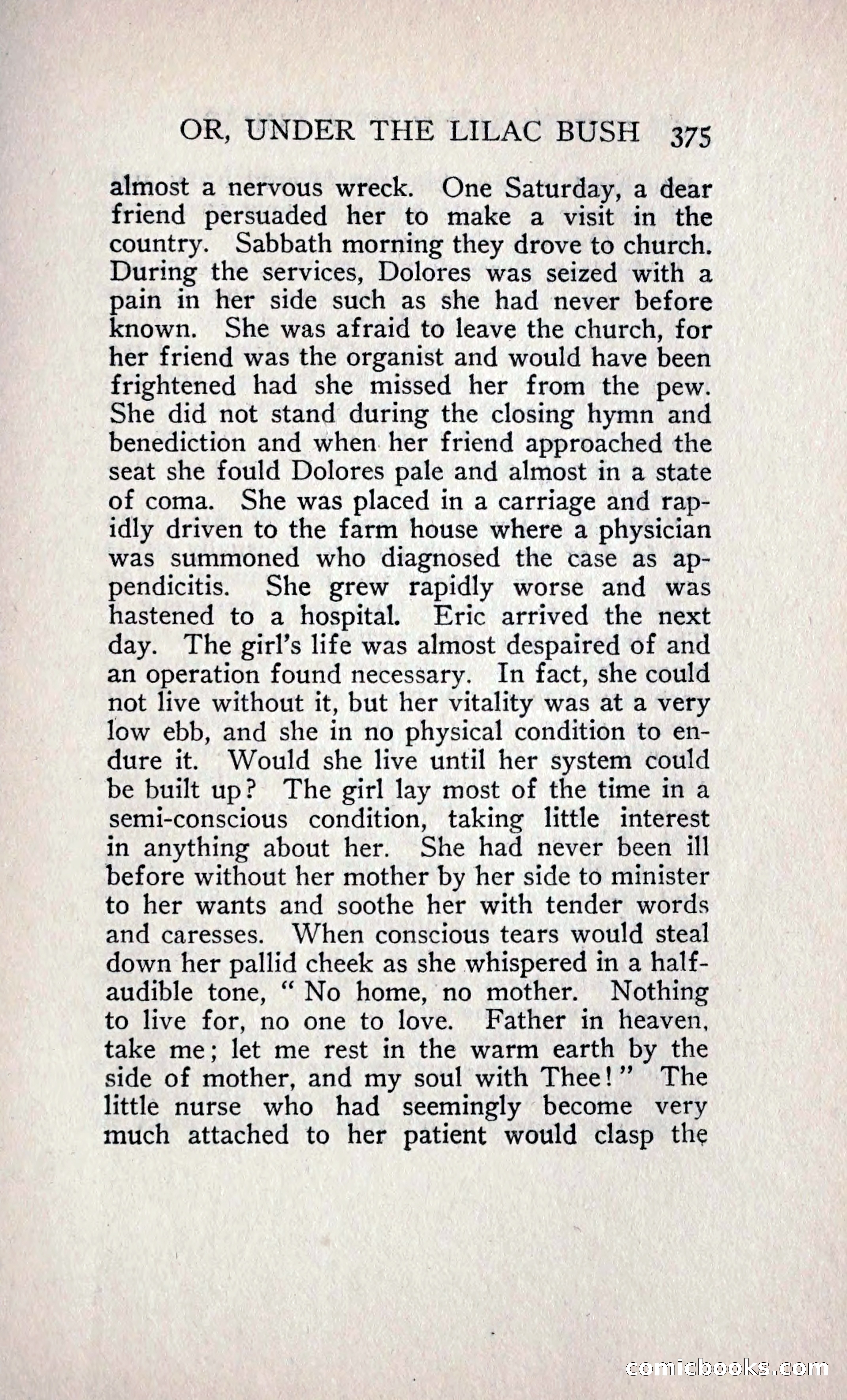 The Shadow of a Curse — page 396 of 399