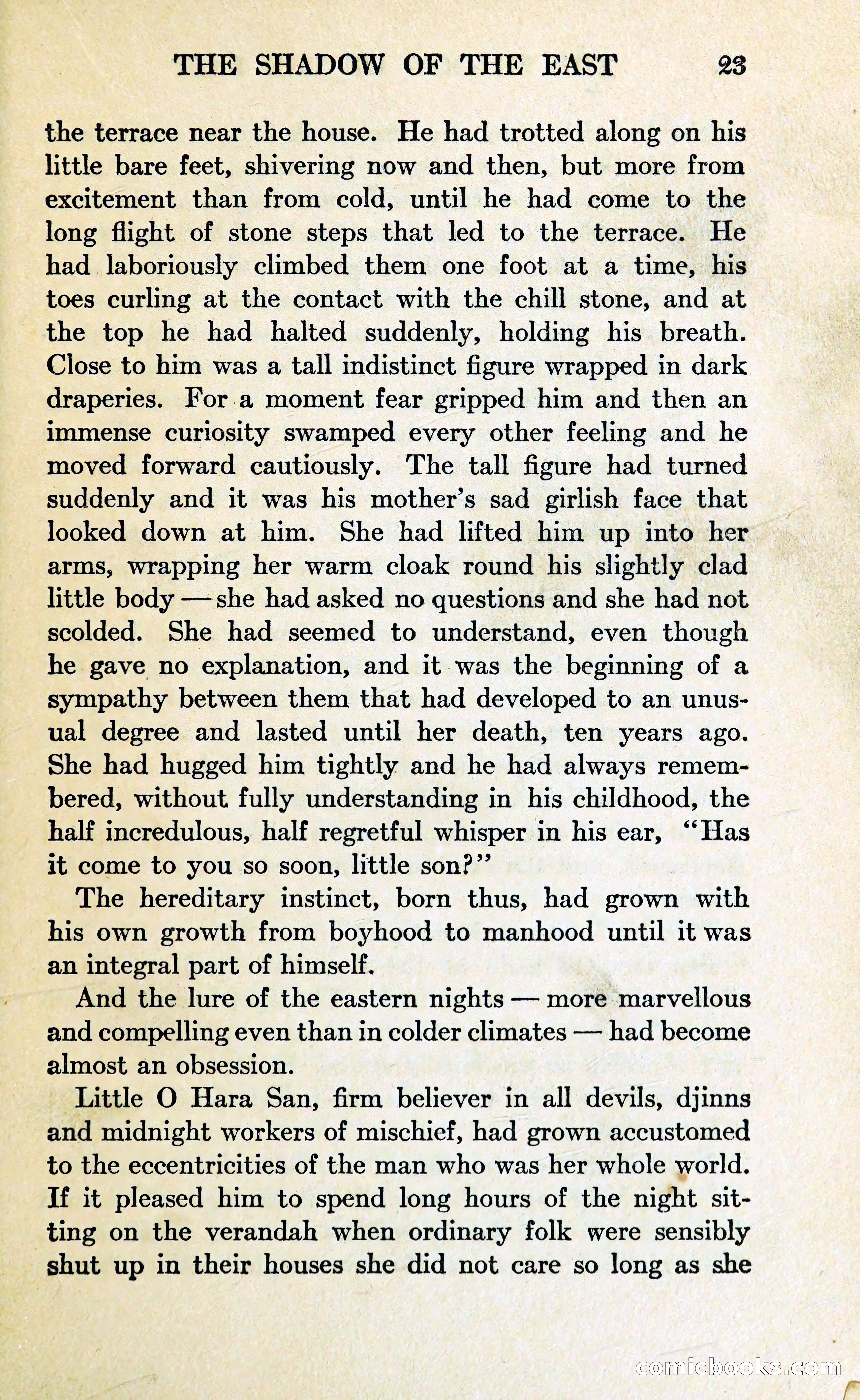 The Shadow of the East — page 30 of 337