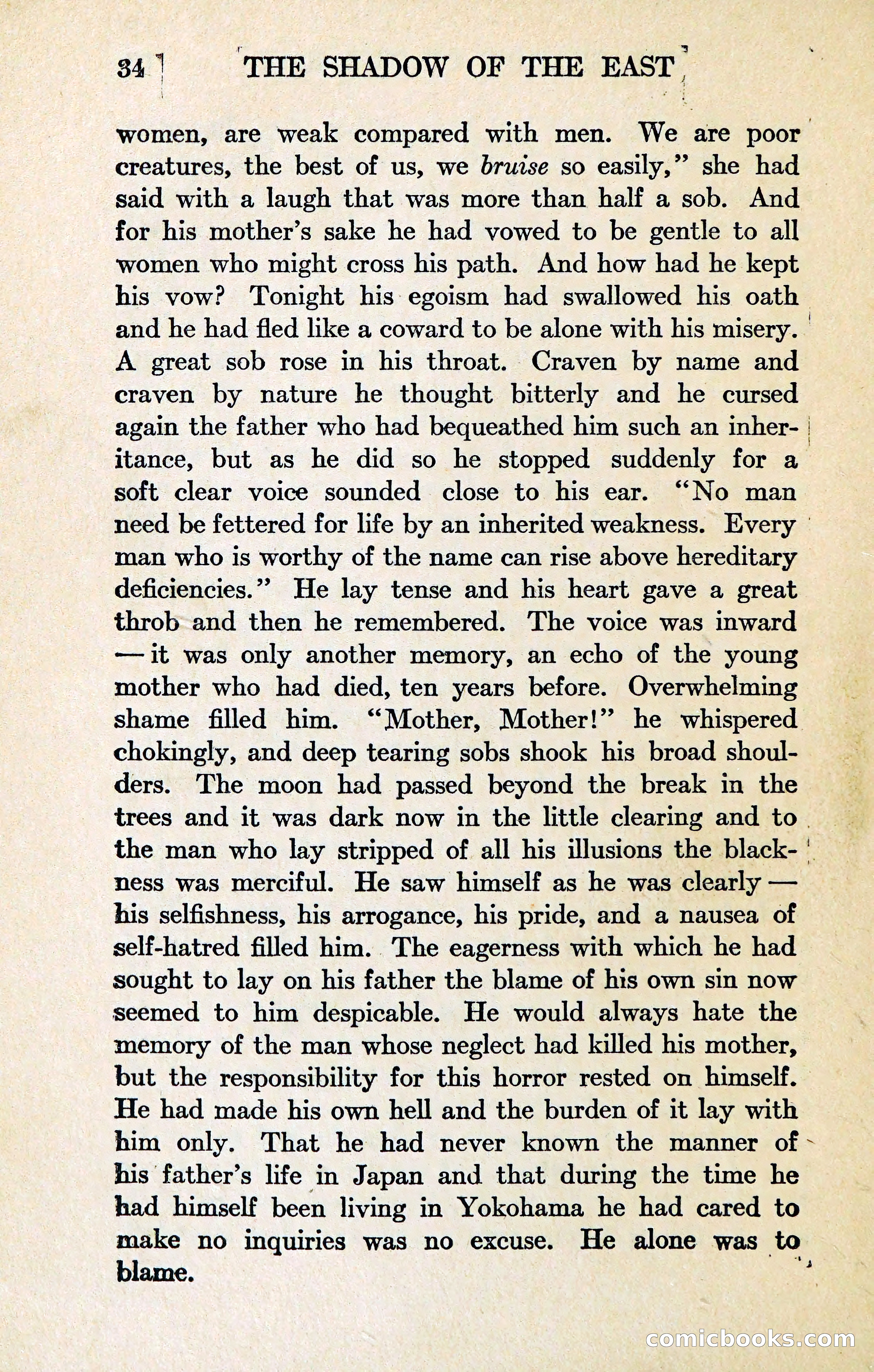The Shadow of the East — page 41 of 337