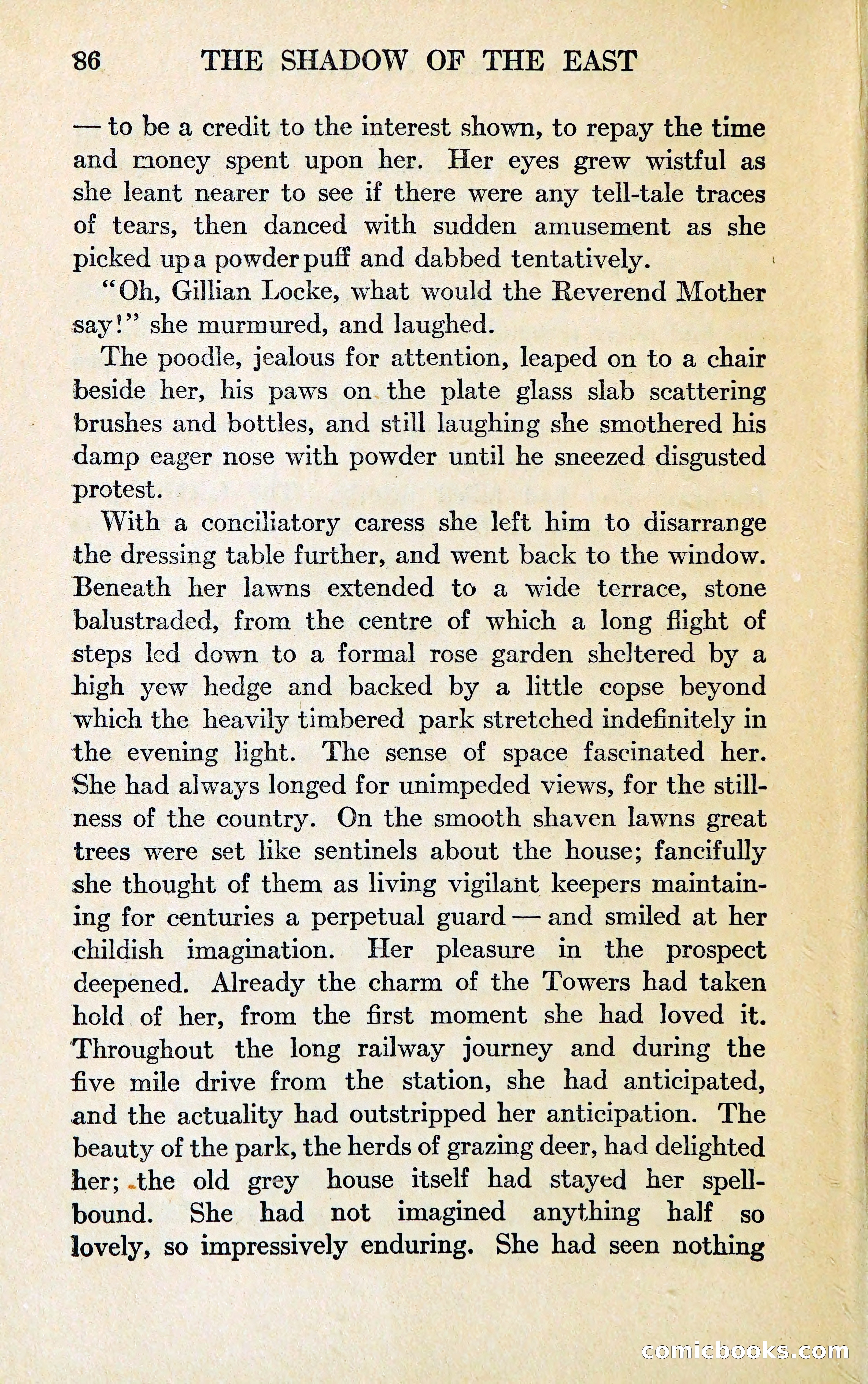 The Shadow of the East — page 95 of 337