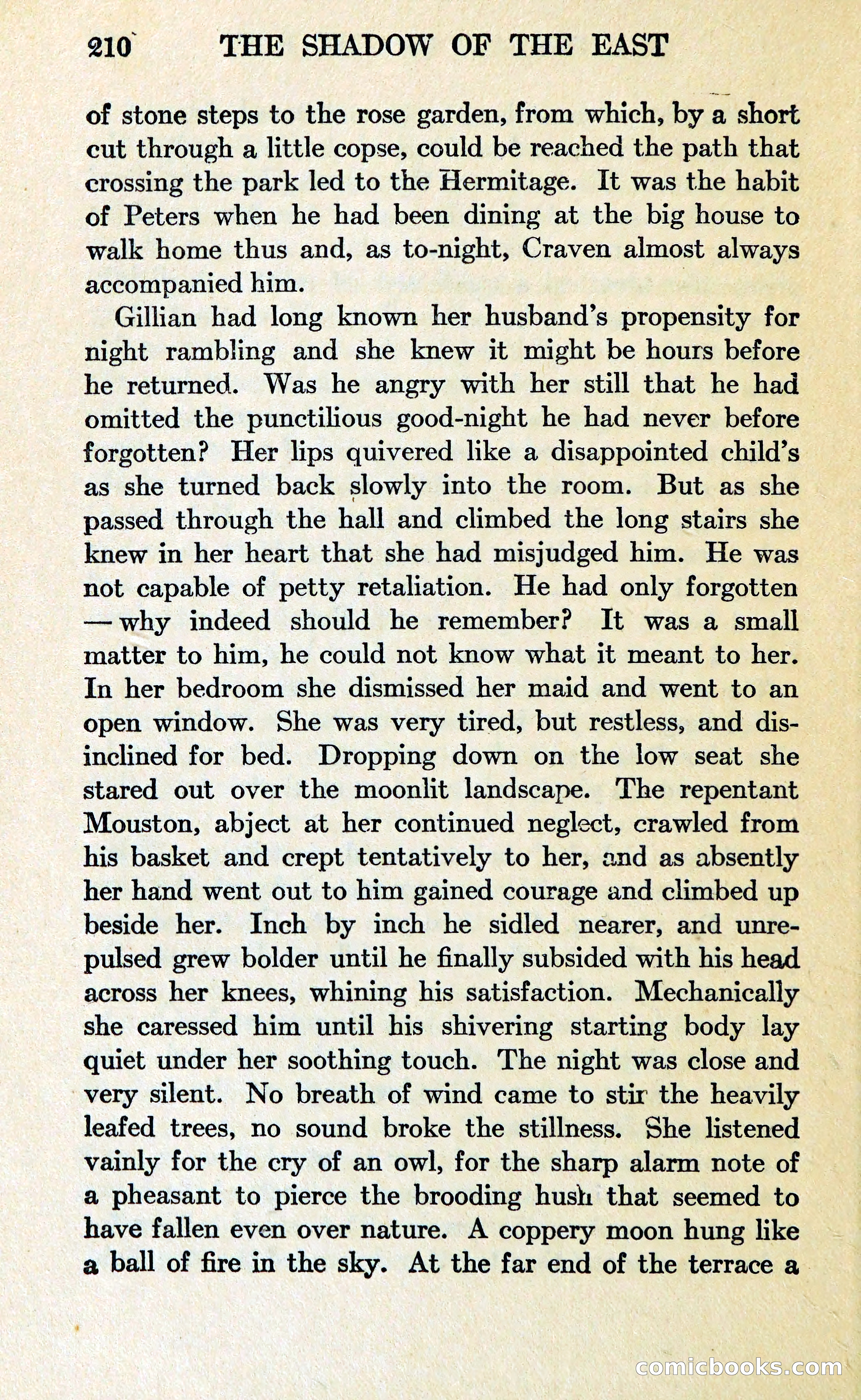 The Shadow of the East — page 221 of 337
