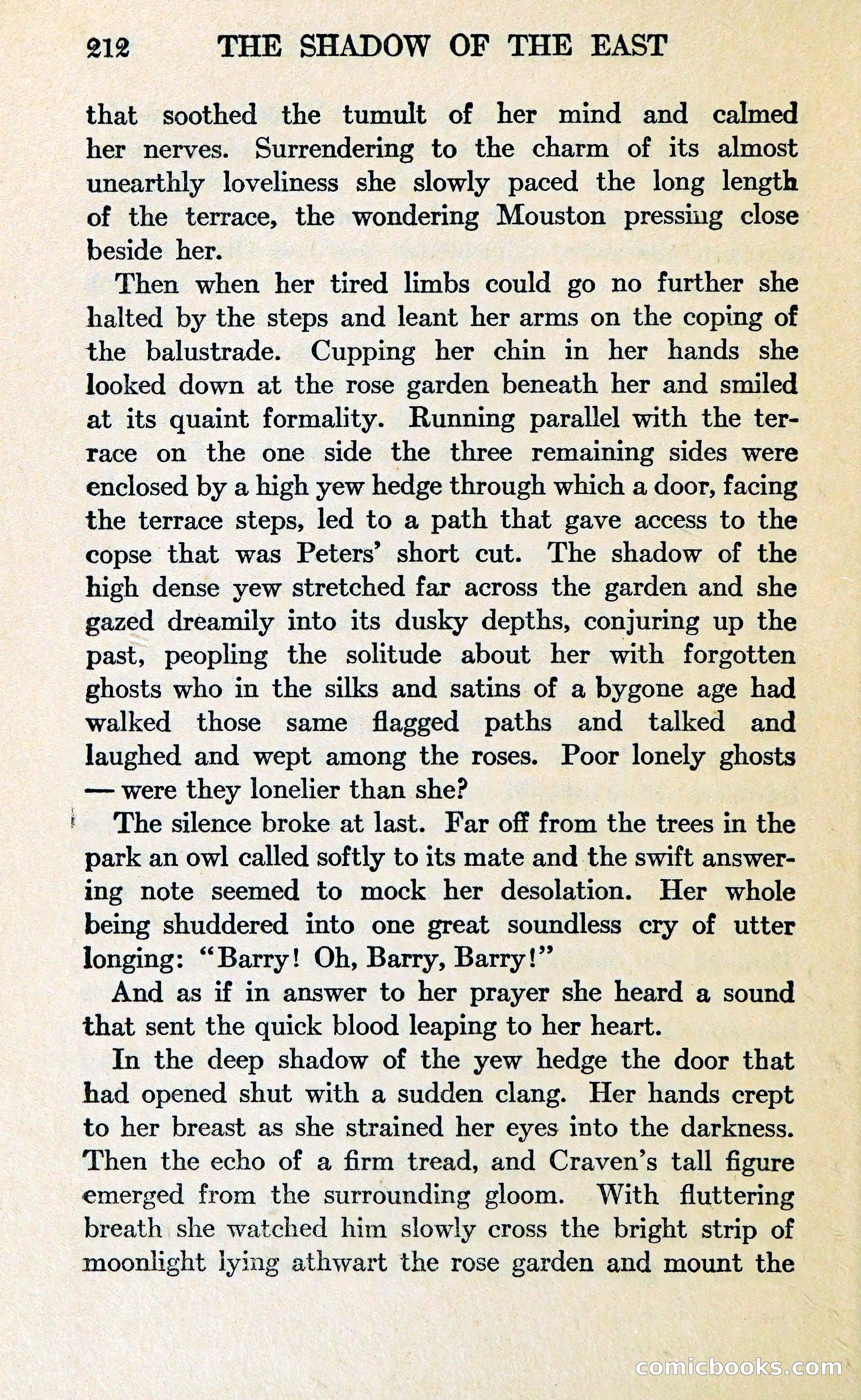 The Shadow of the East — page 223 of 337