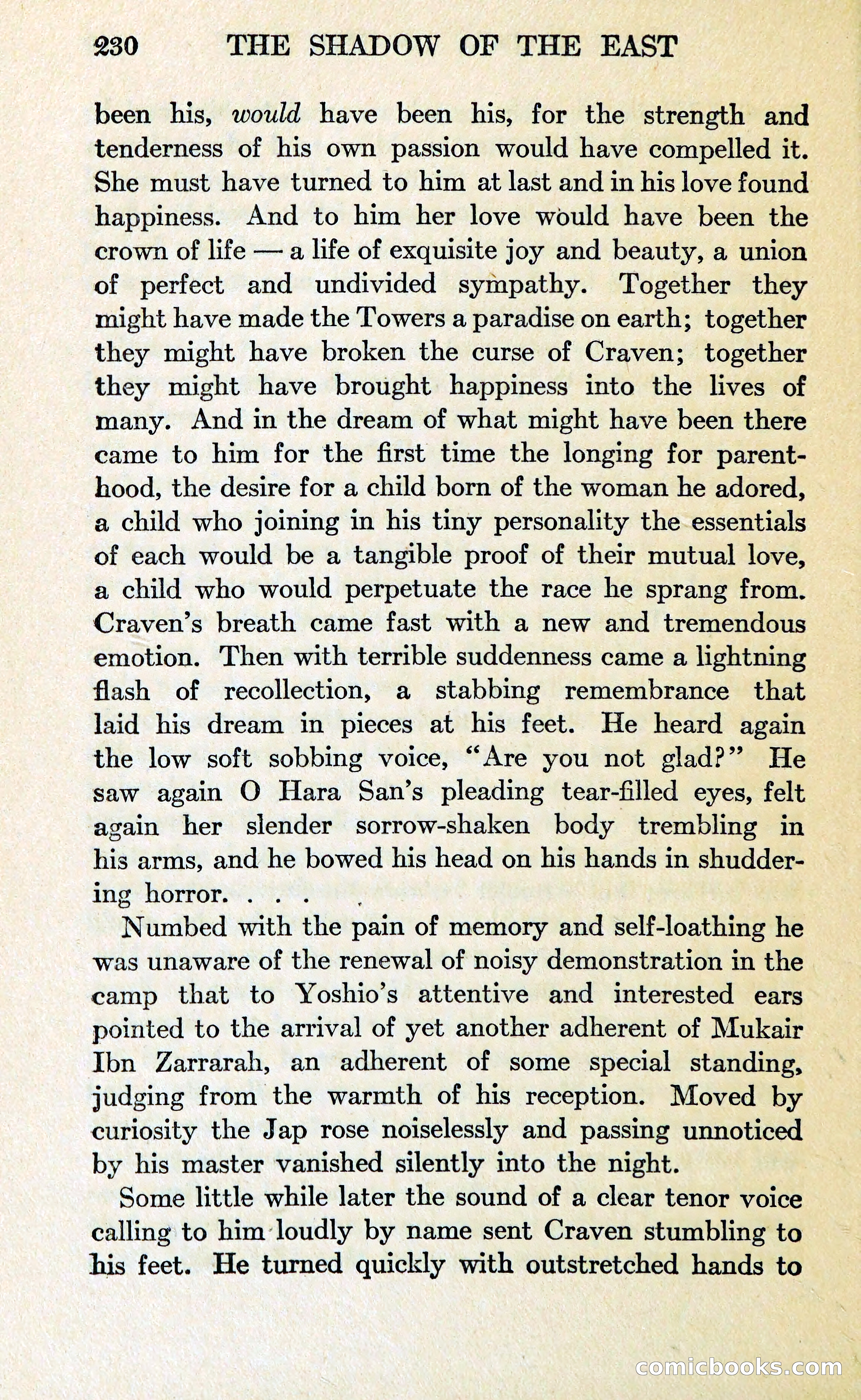 The Shadow of the East — page 241 of 337