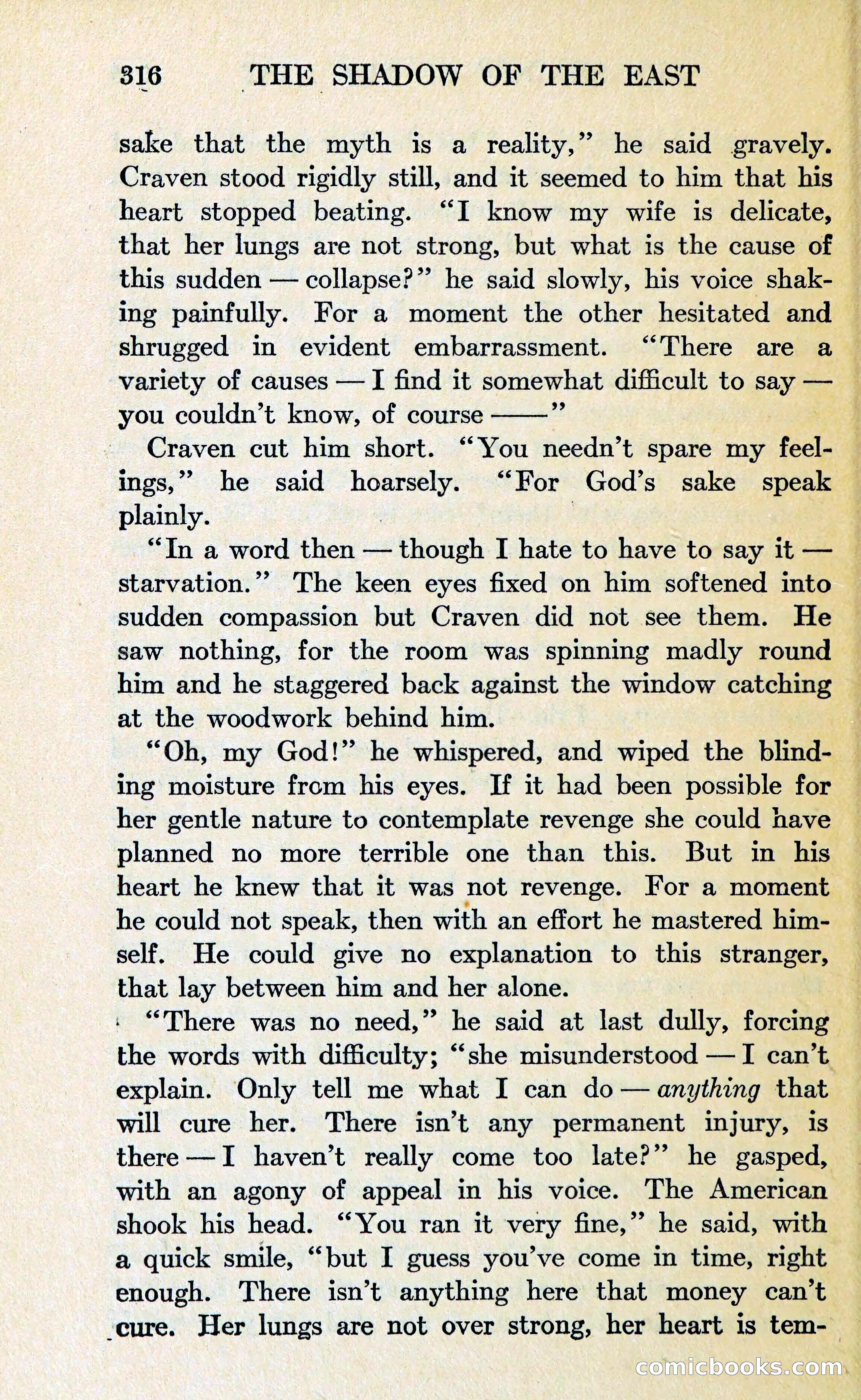 The Shadow of the East — page 329 of 337