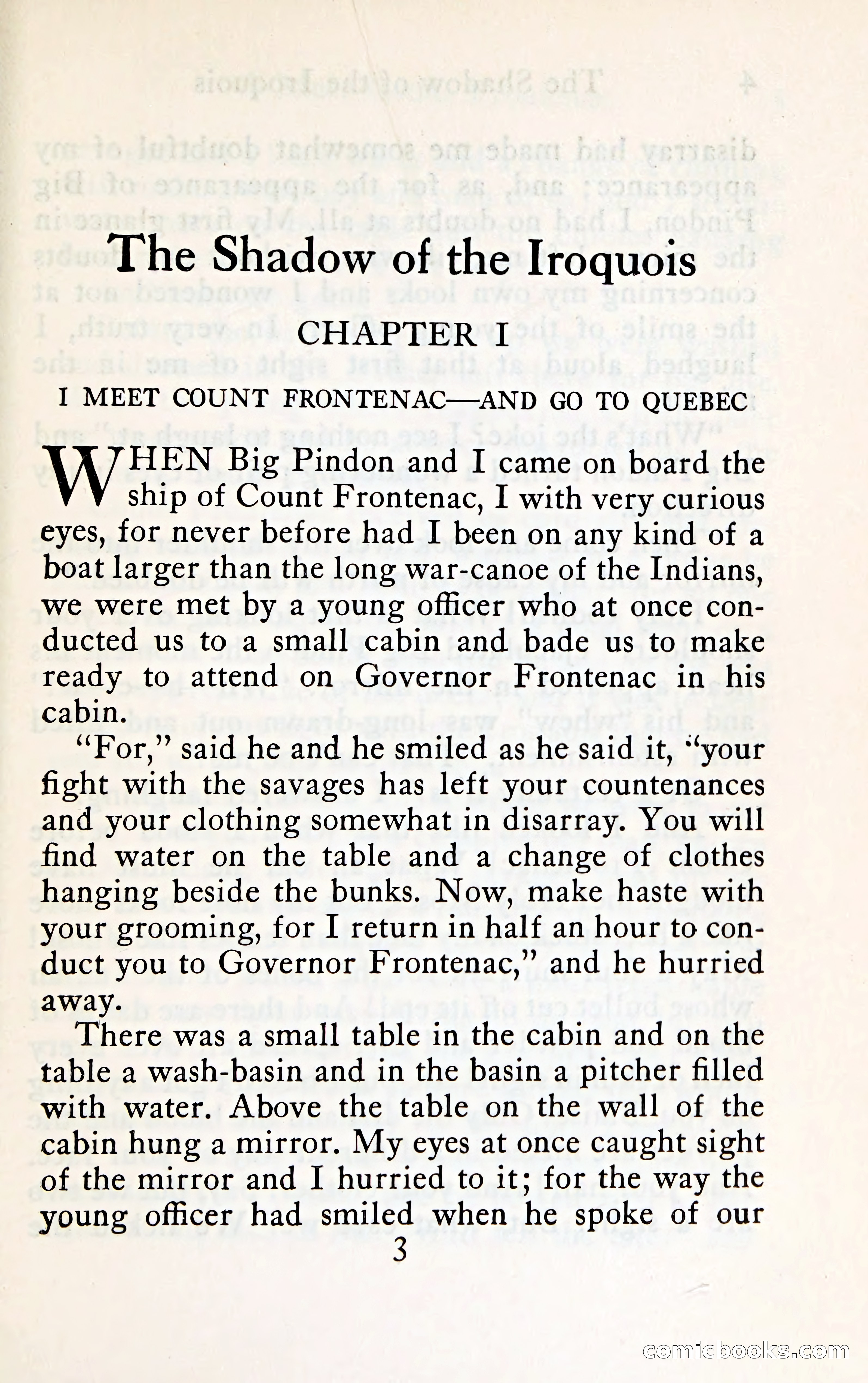 The Shadow of the Iroquois — page 20 of 399
