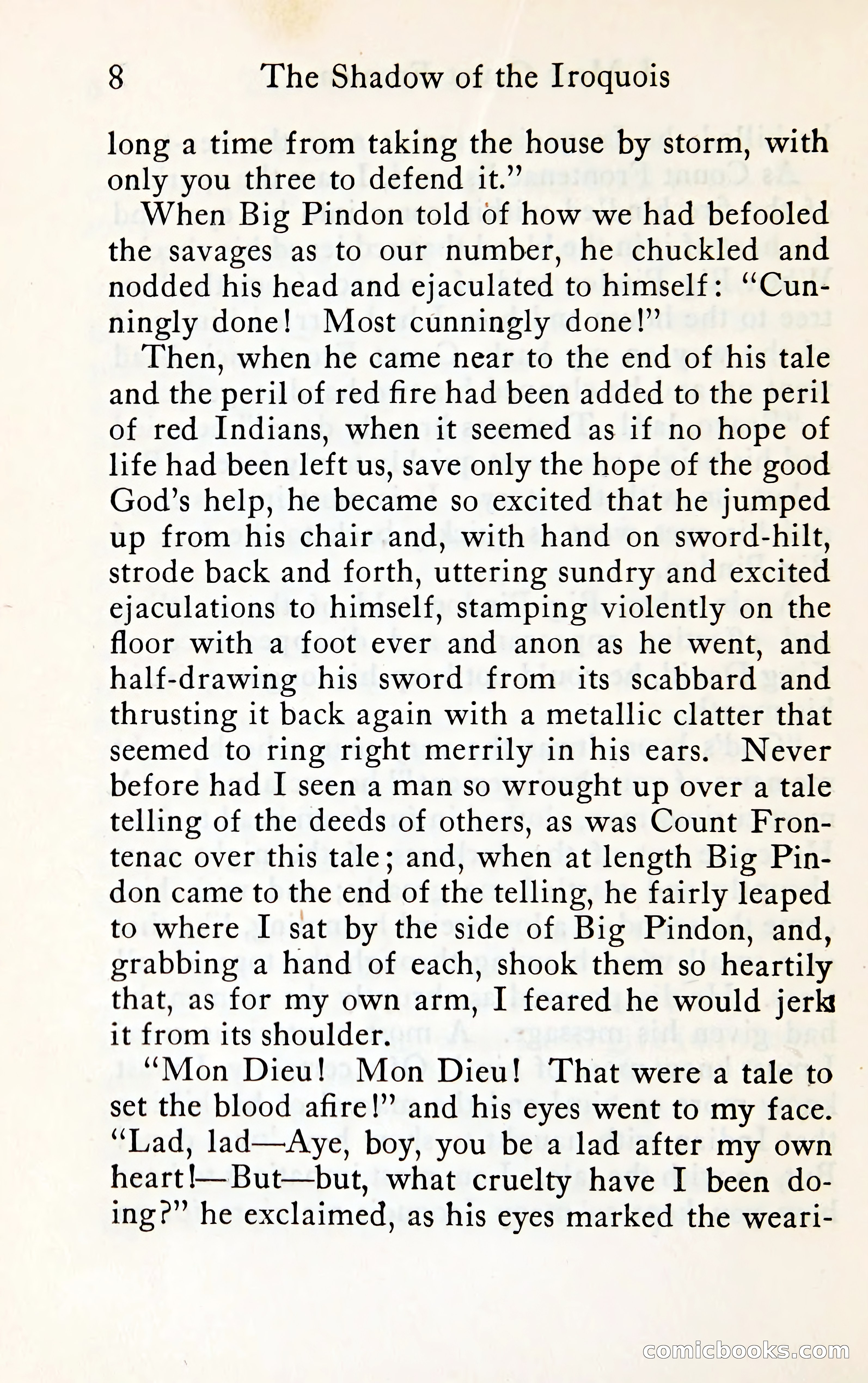 The Shadow of the Iroquois — page 25 of 399
