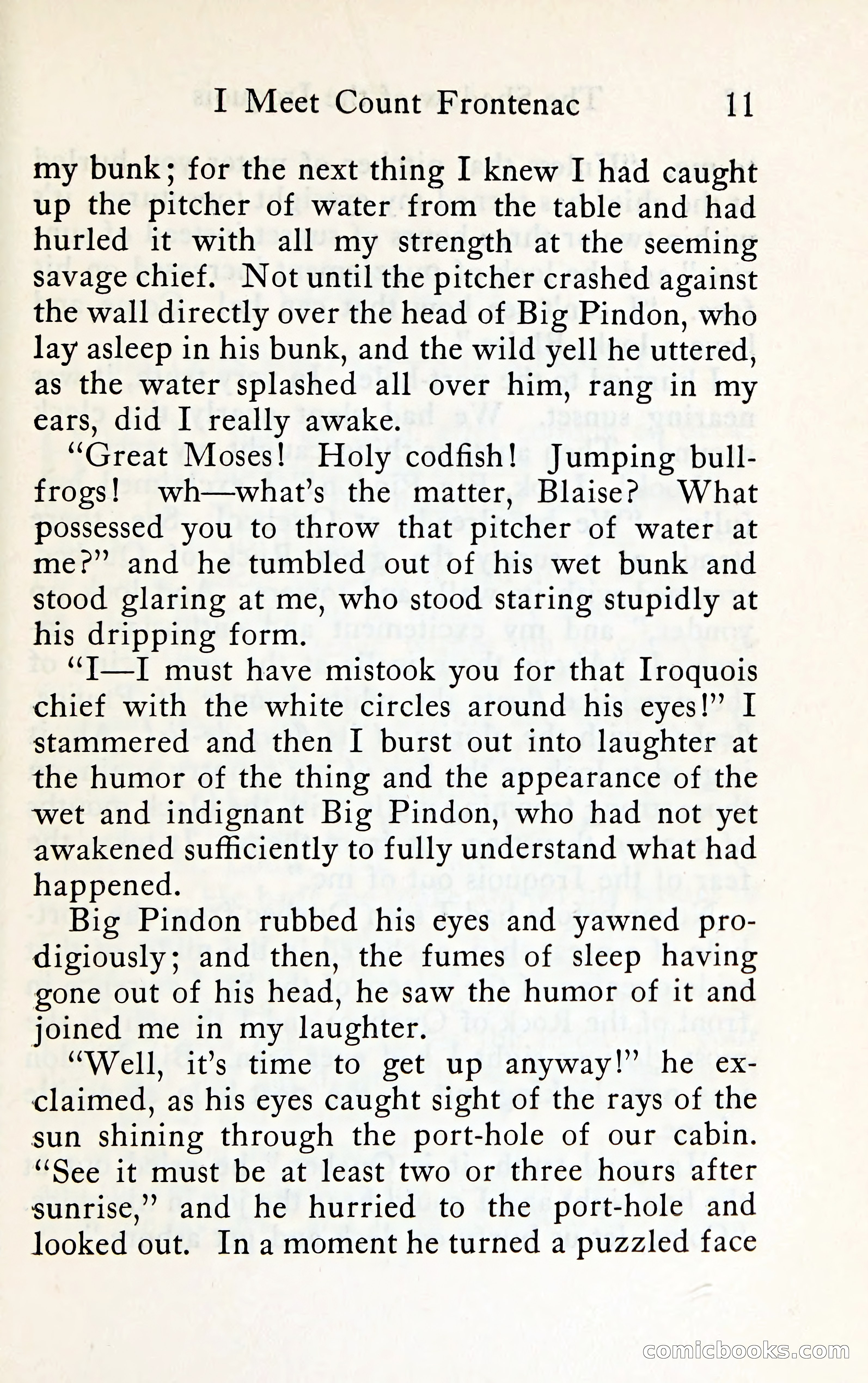 The Shadow of the Iroquois — page 28 of 399