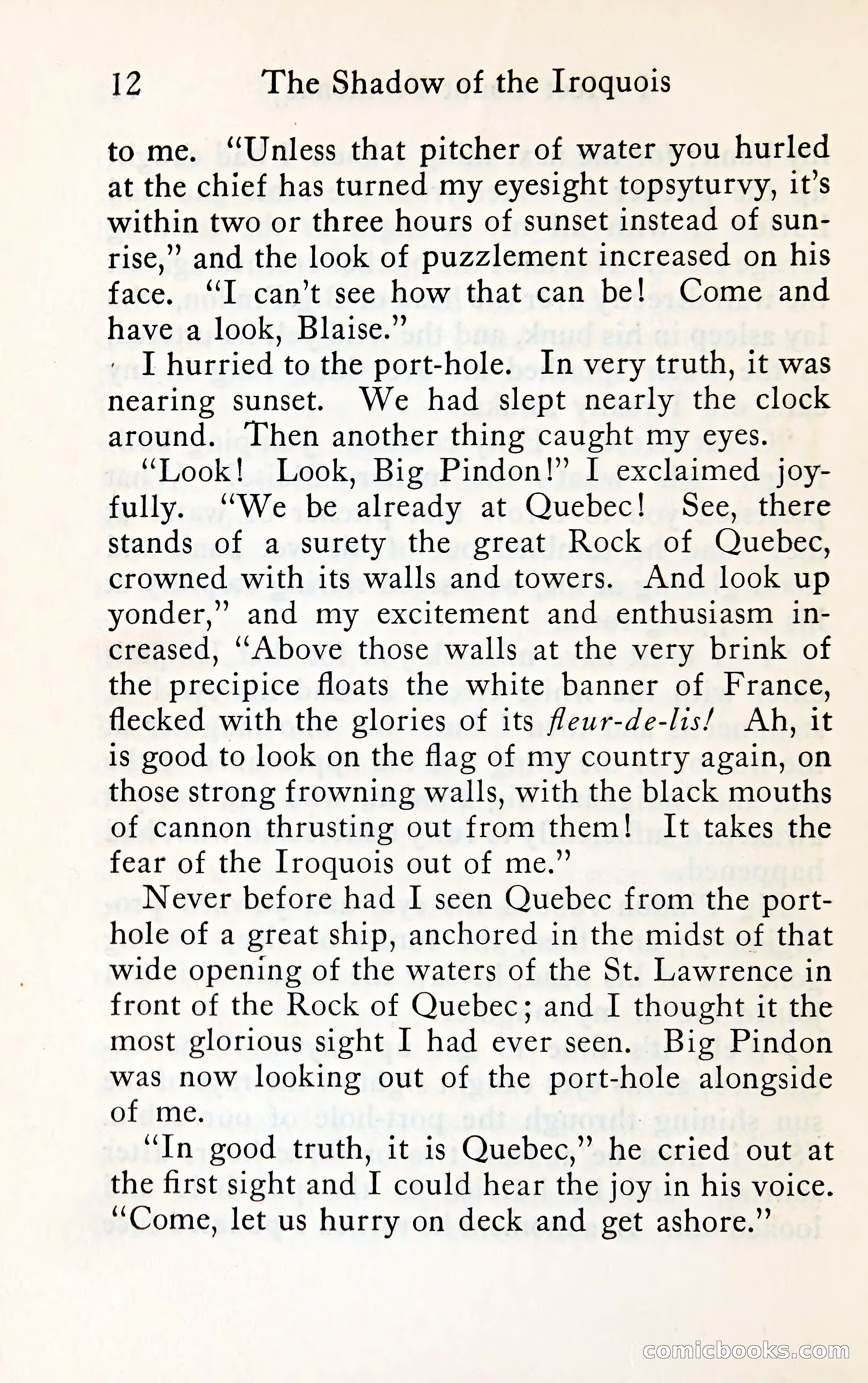 The Shadow of the Iroquois — page 29 of 399