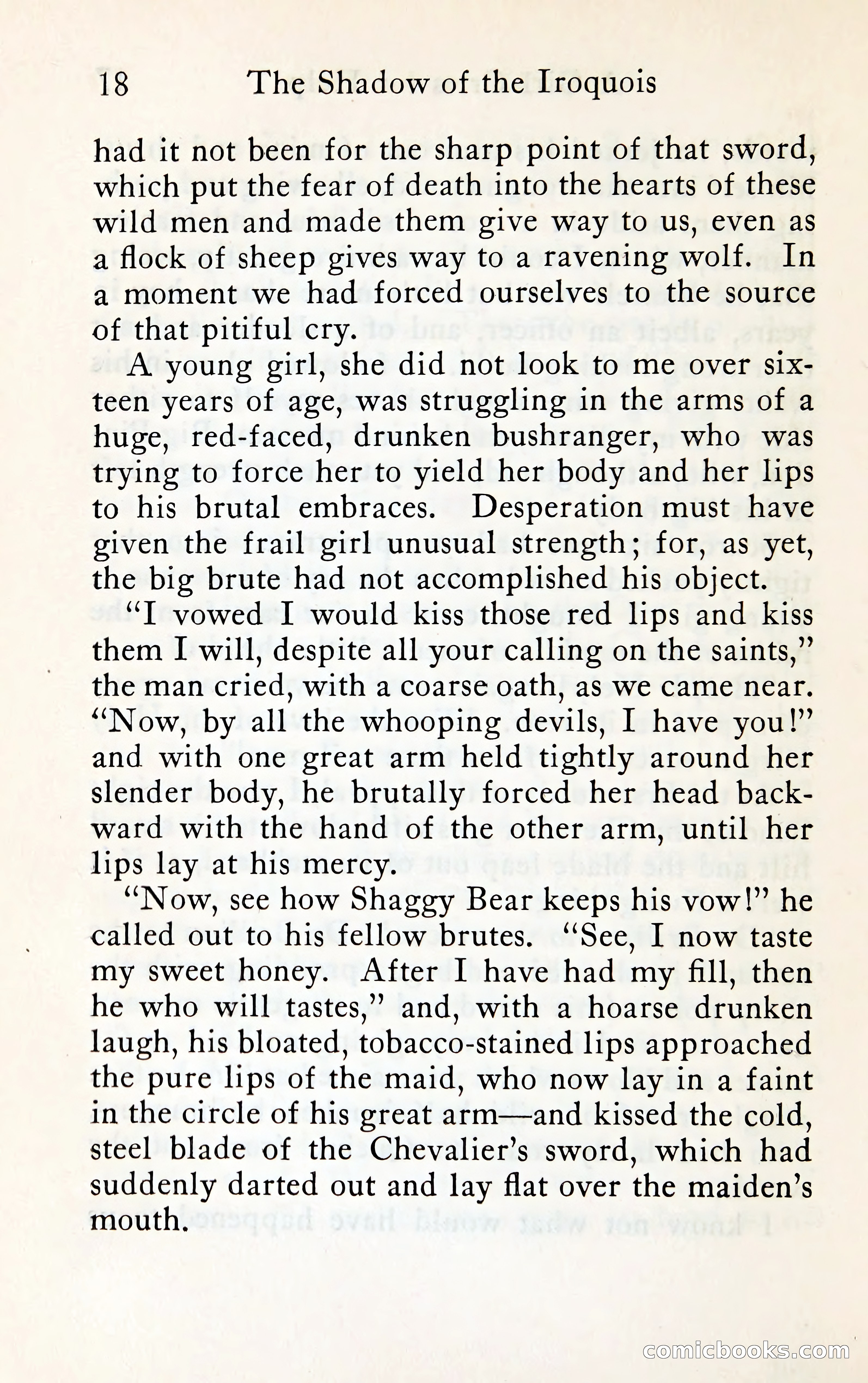 The Shadow of the Iroquois — page 35 of 399
