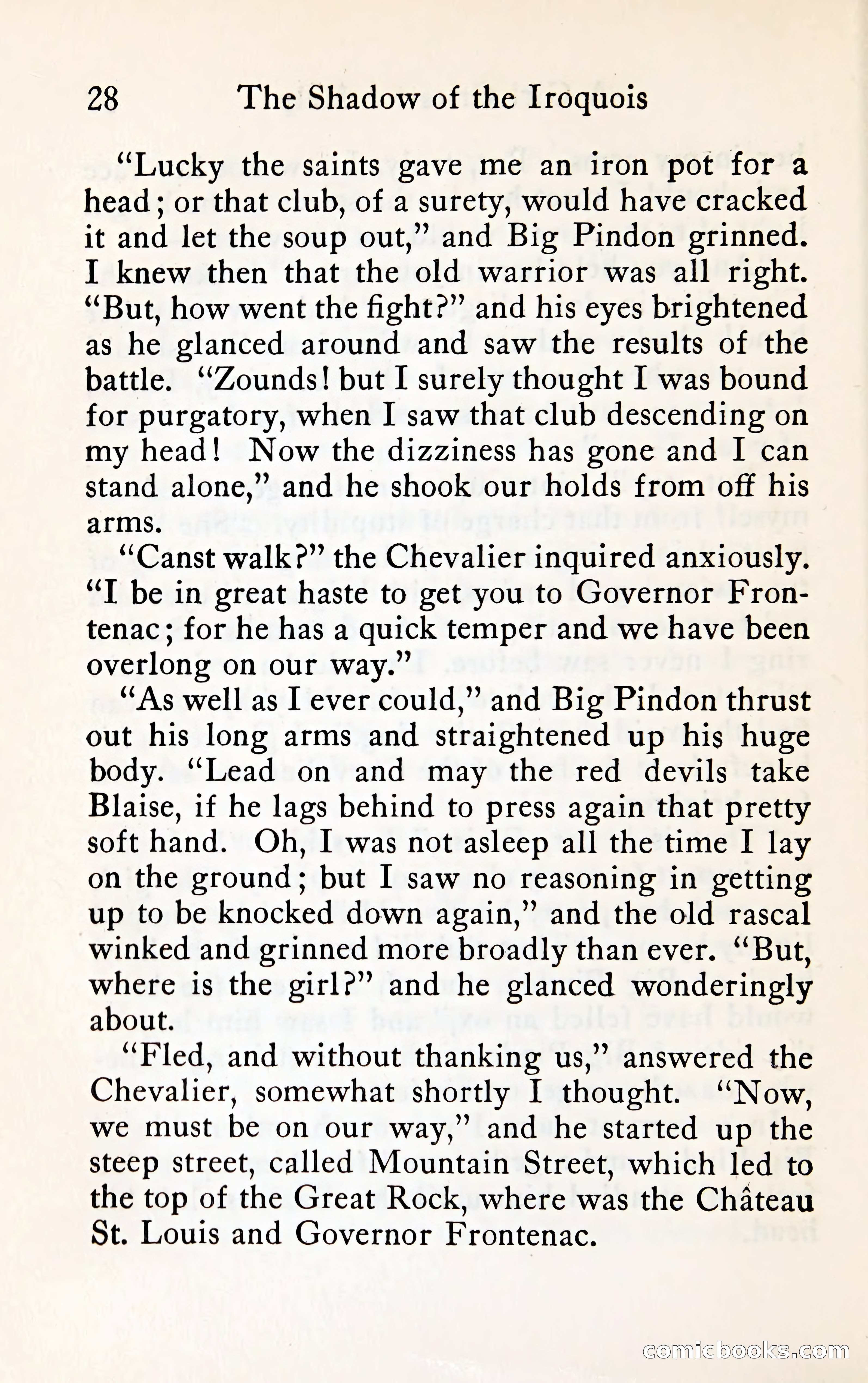 The Shadow of the Iroquois — page 45 of 399