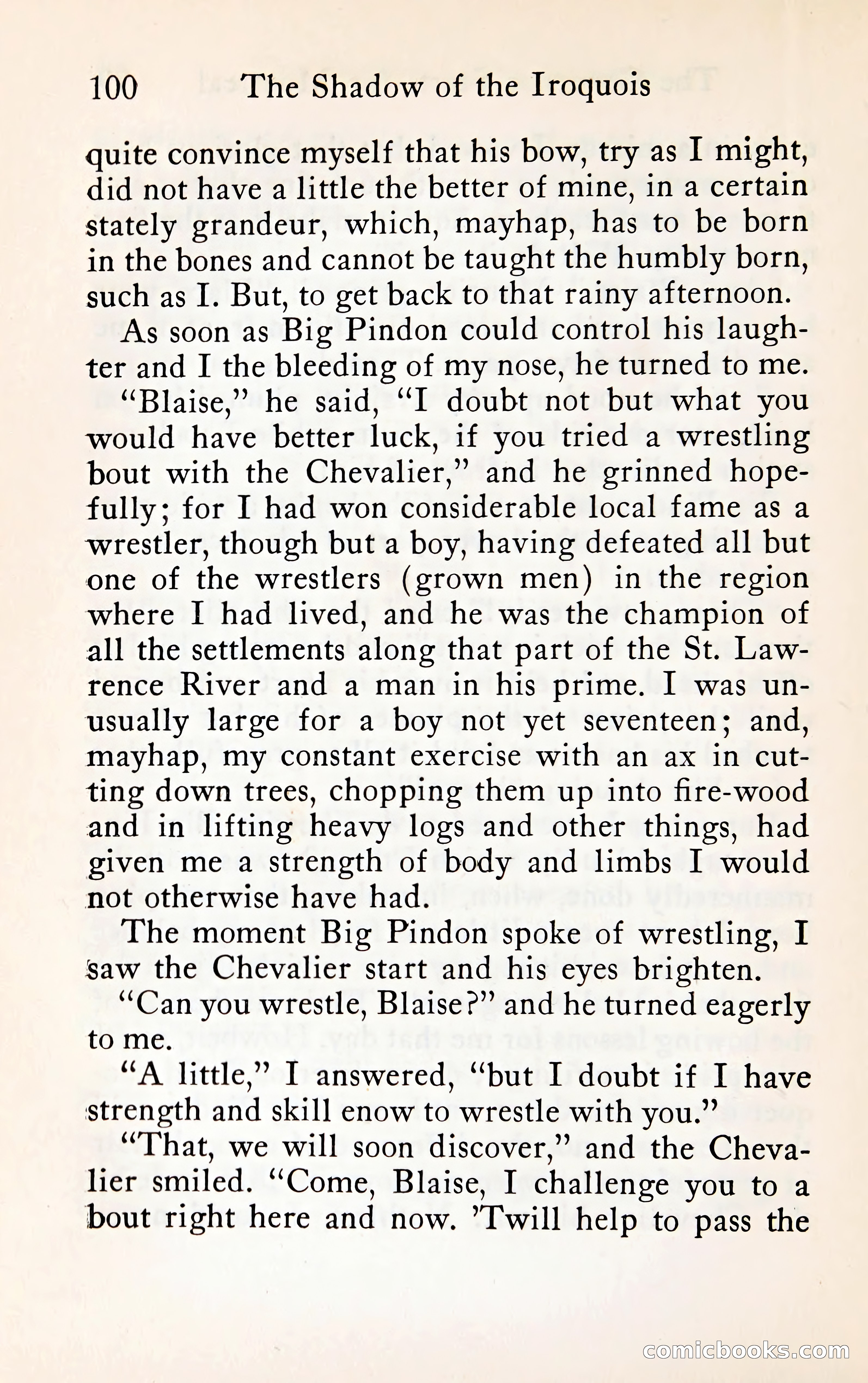 The Shadow of the Iroquois — page 119 of 399