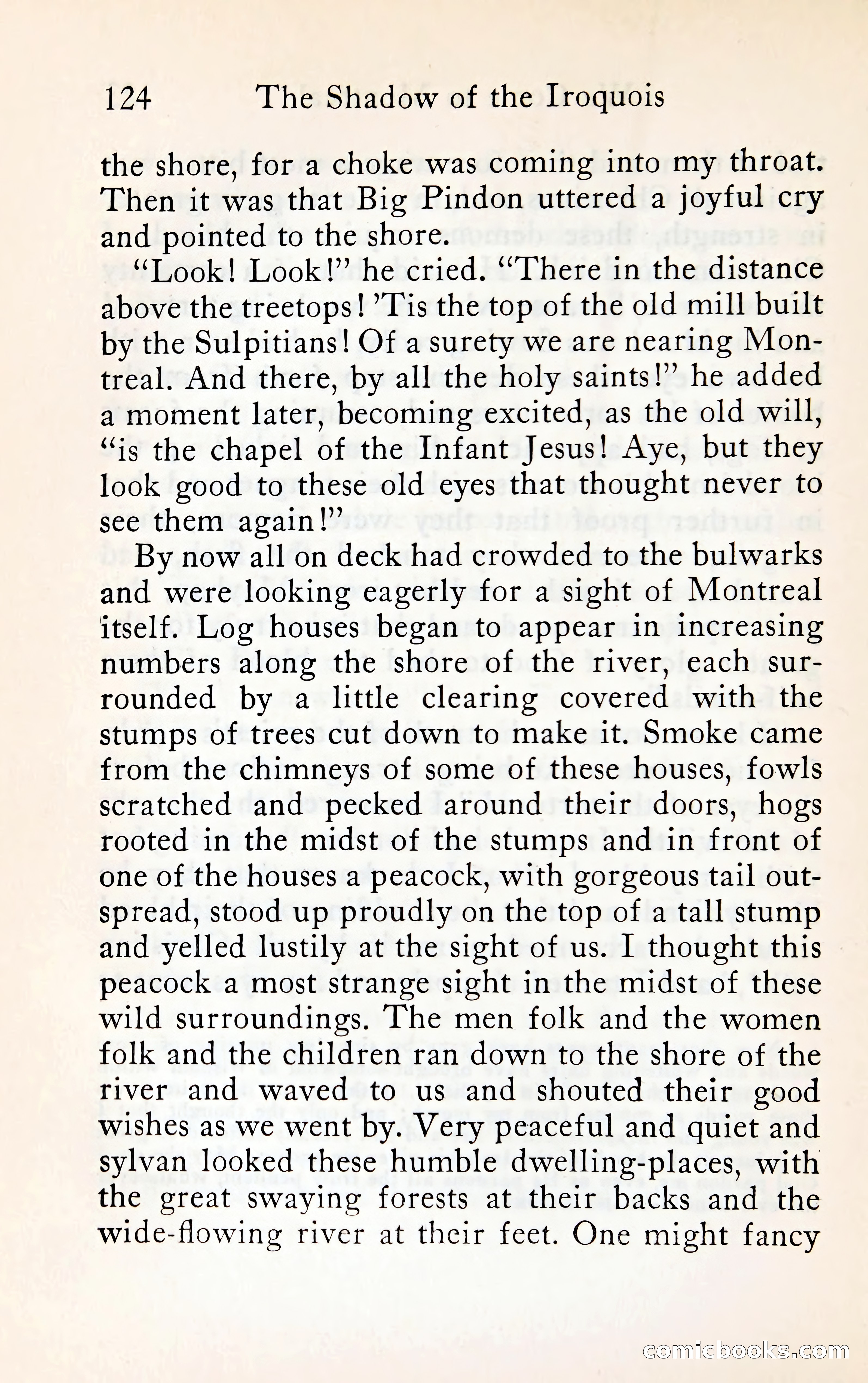 The Shadow of the Iroquois — page 143 of 399