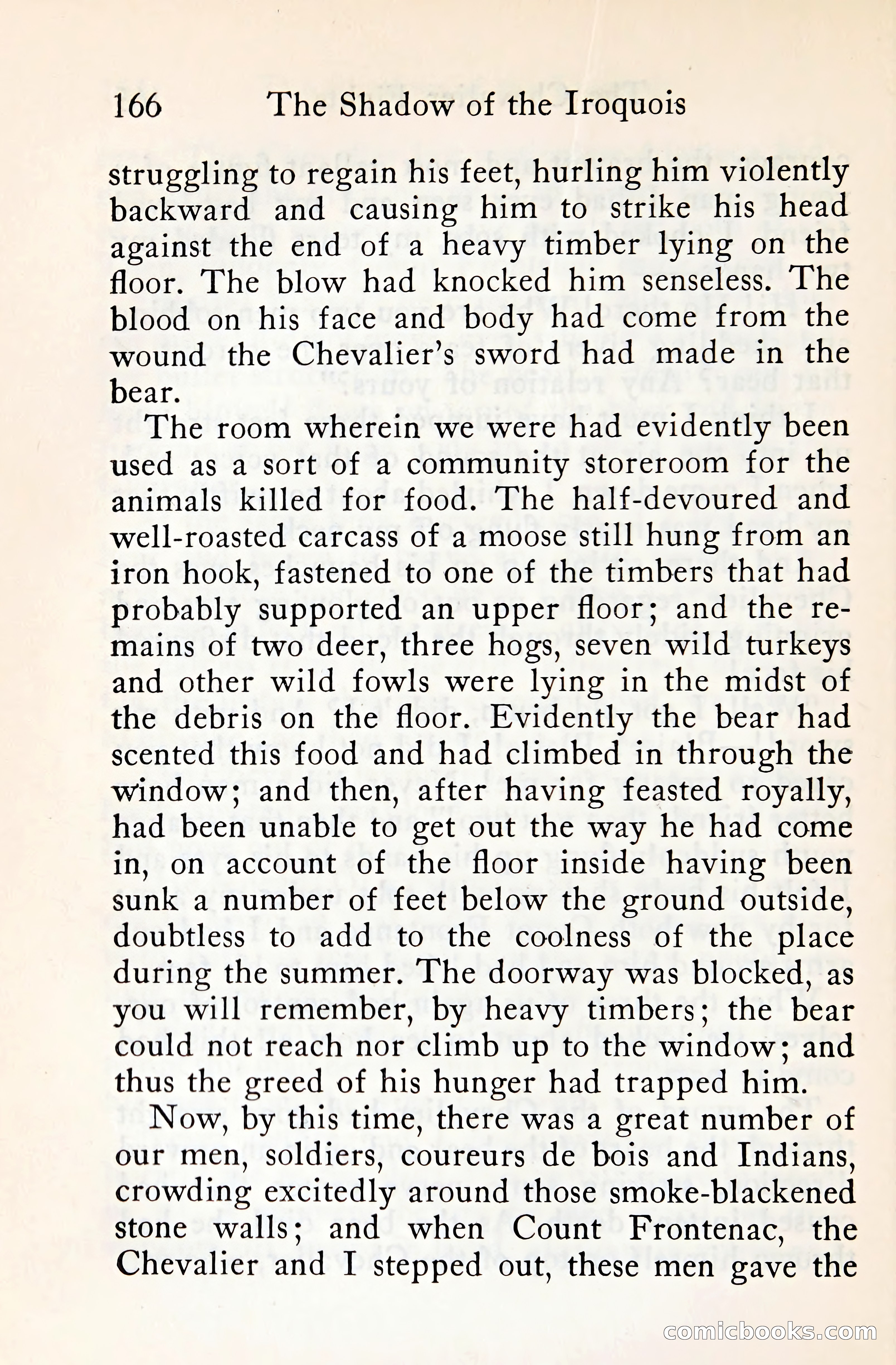 The Shadow of the Iroquois — page 185 of 399
