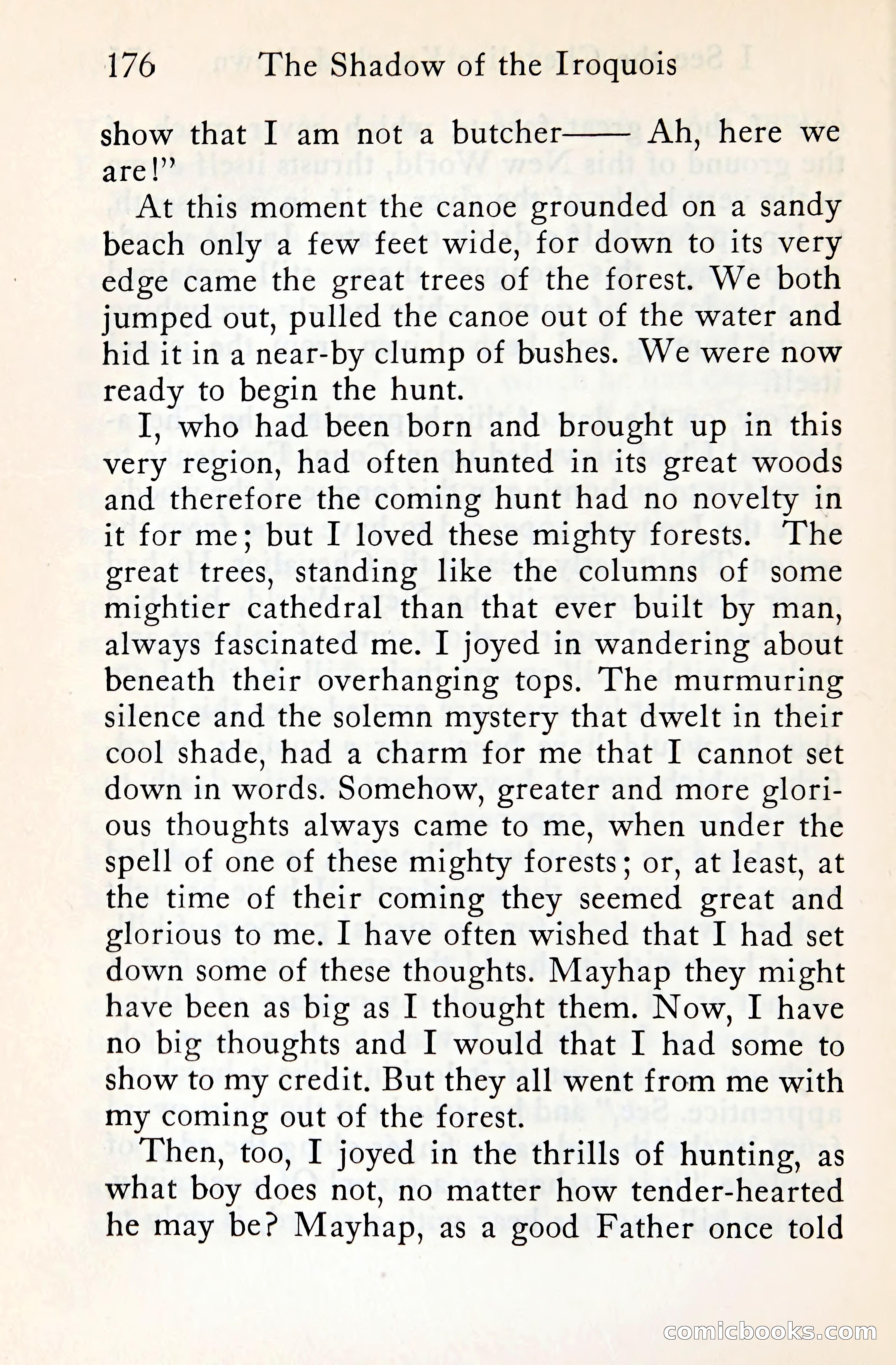 The Shadow of the Iroquois — page 195 of 399