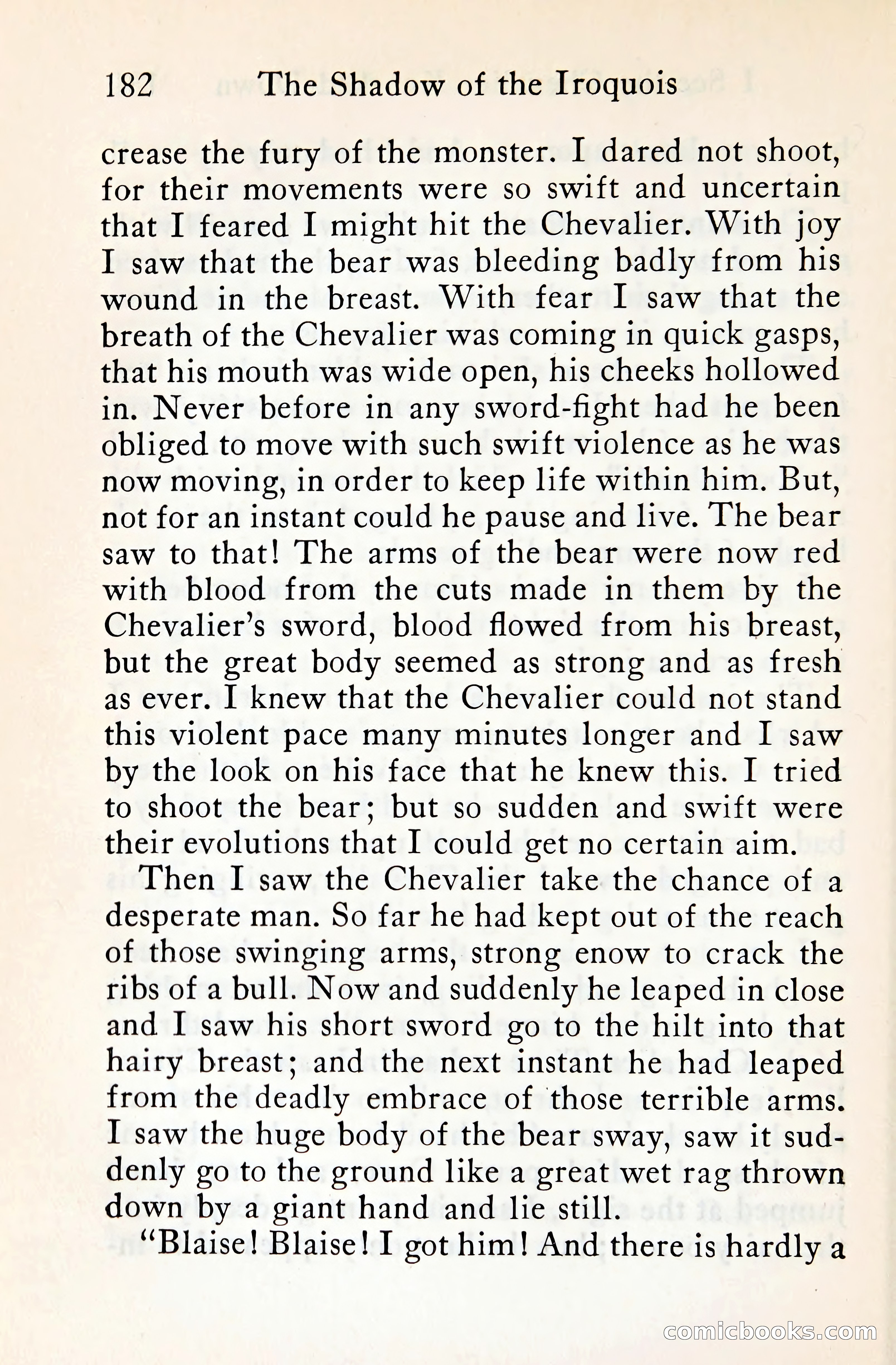 The Shadow of the Iroquois — page 201 of 399