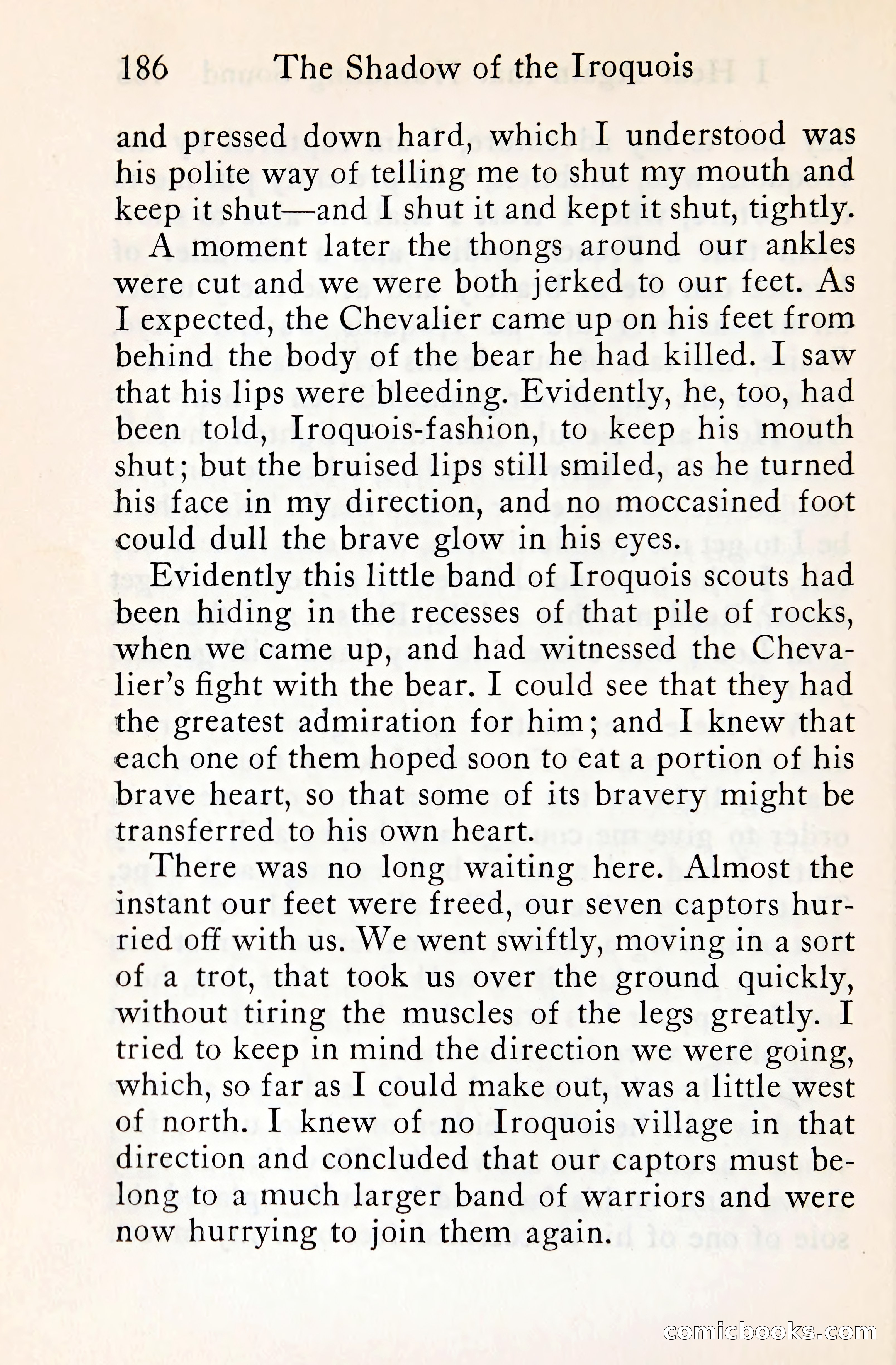 The Shadow of the Iroquois — page 205 of 399