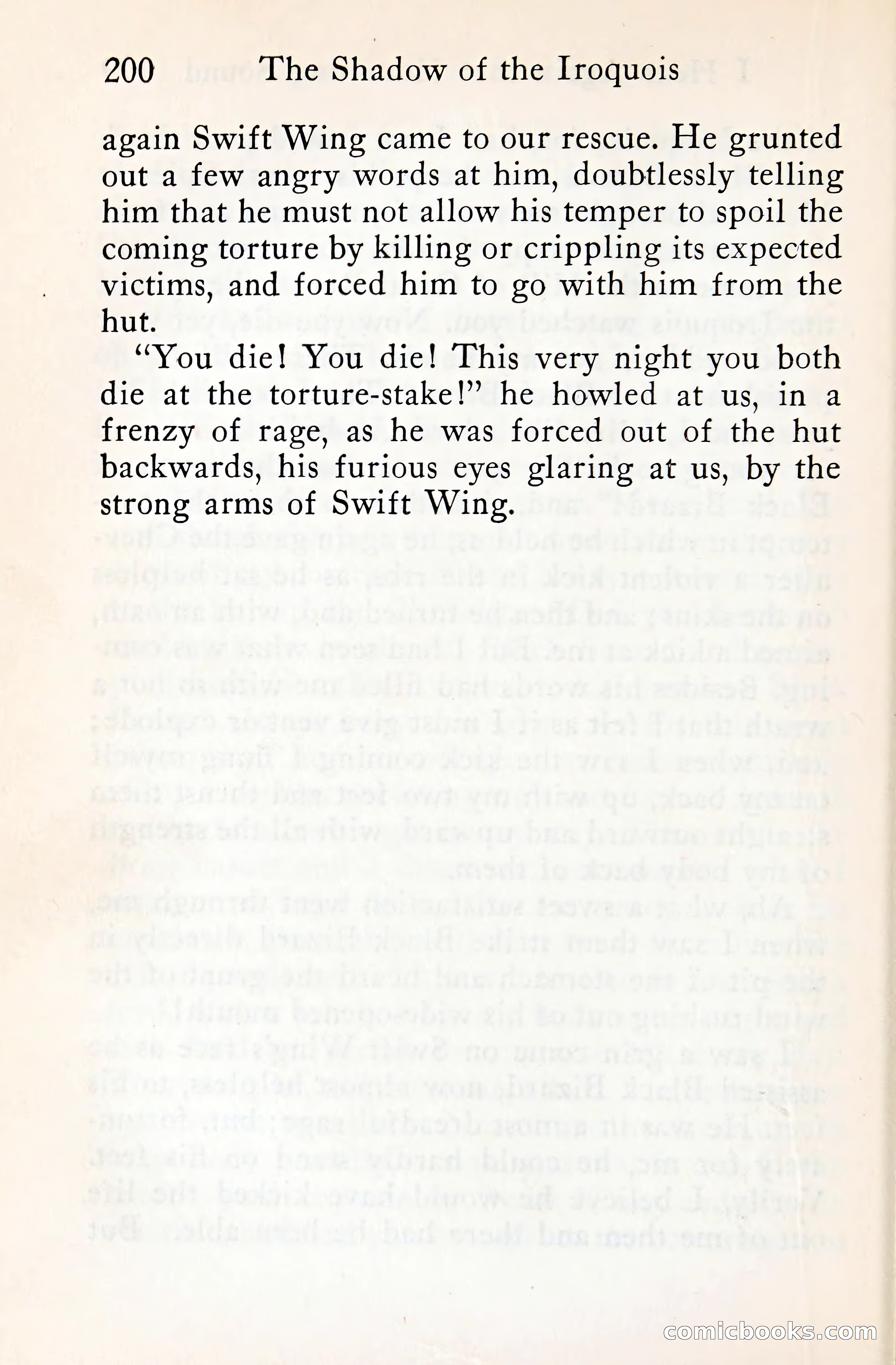 The Shadow of the Iroquois — page 219 of 399