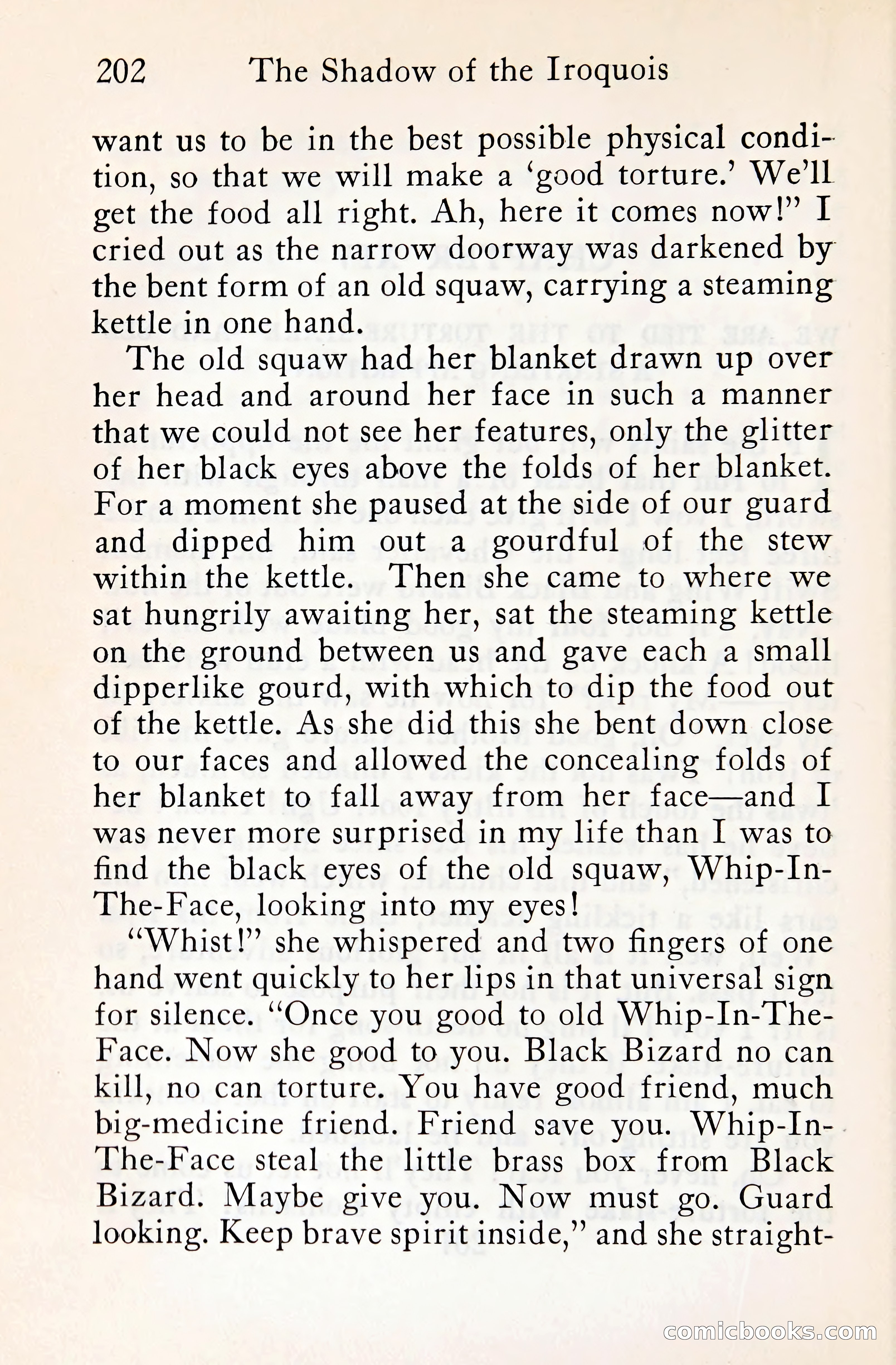 The Shadow of the Iroquois — page 221 of 399
