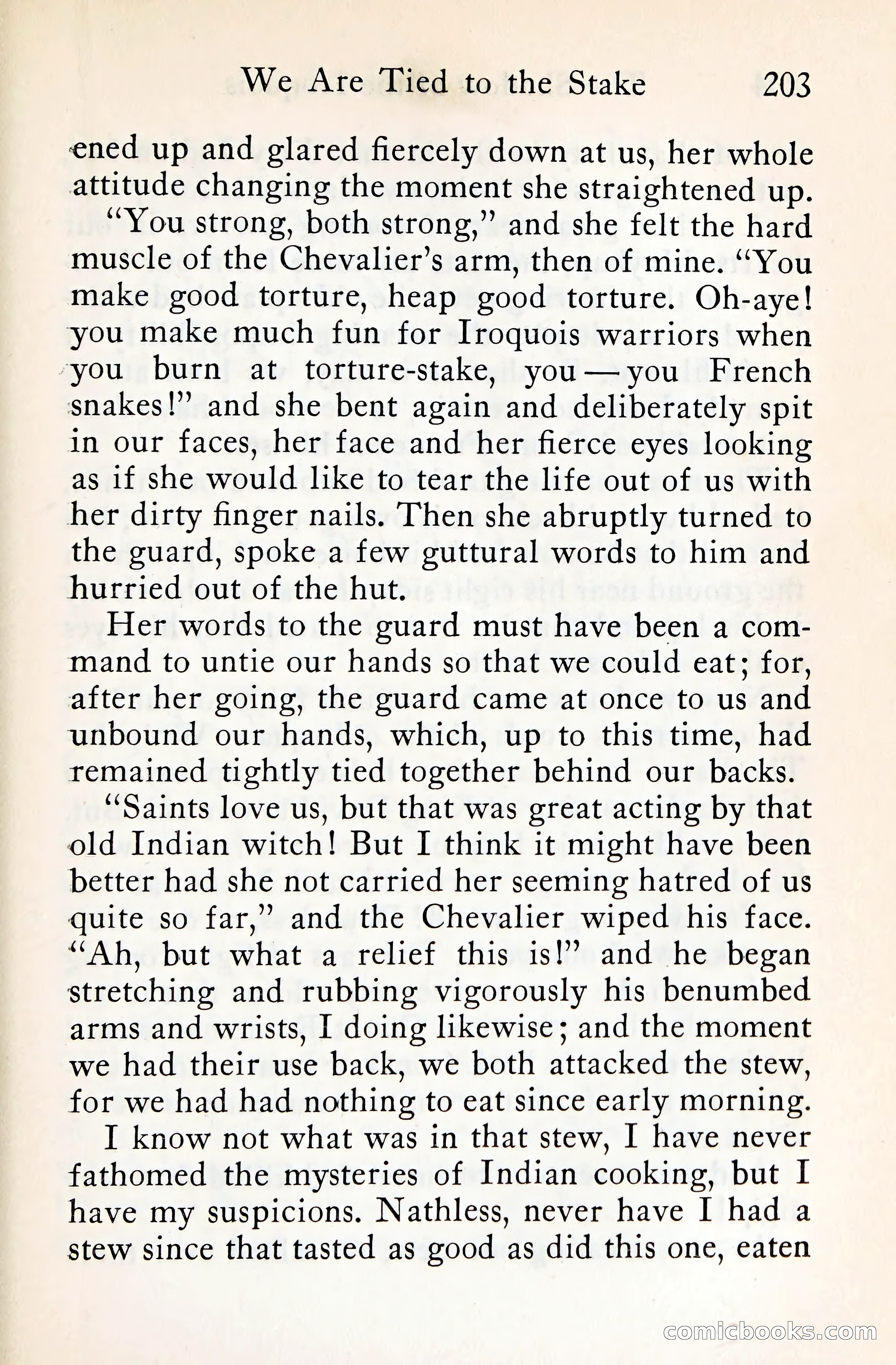 The Shadow of the Iroquois — page 222 of 399