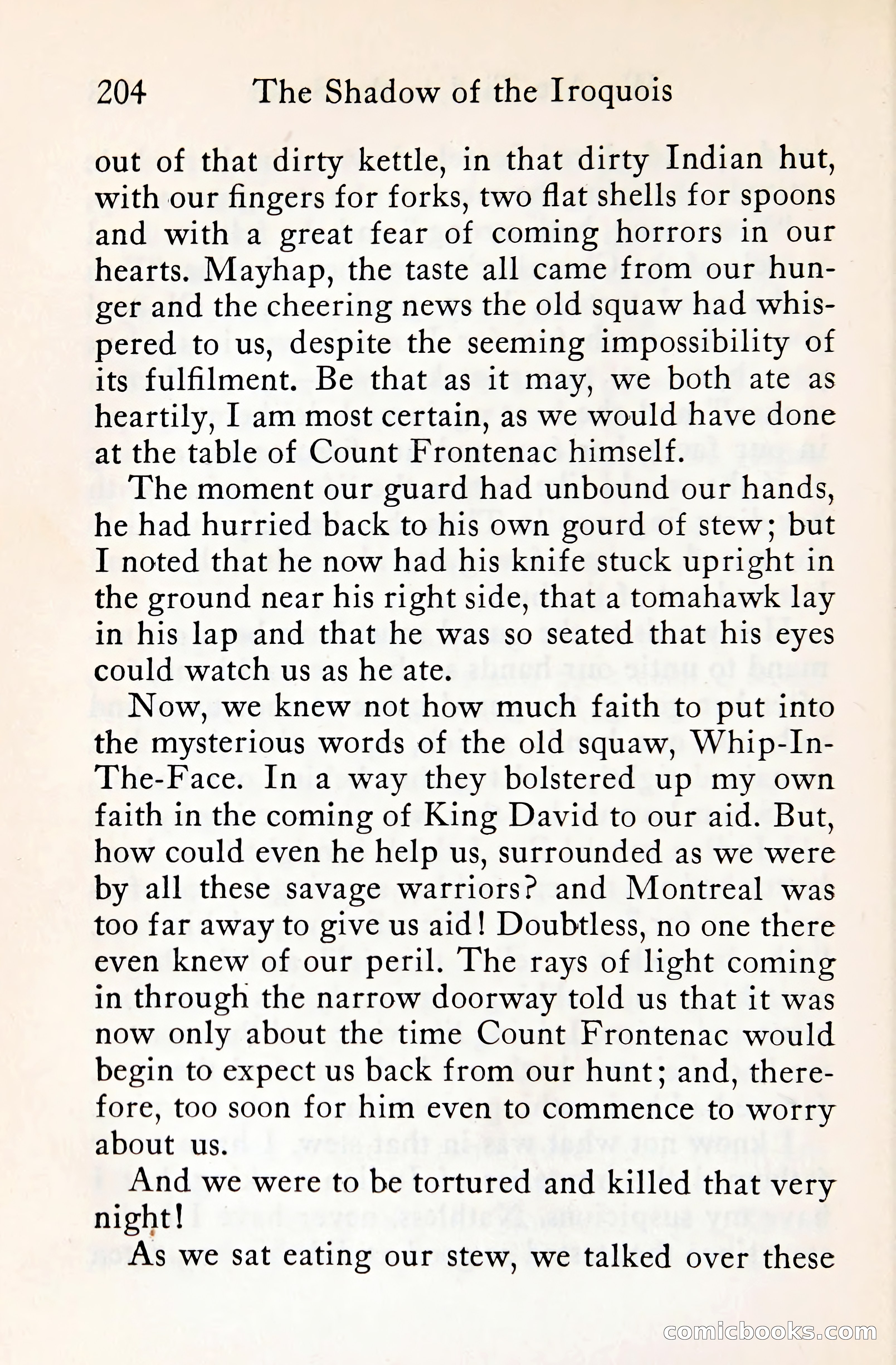 The Shadow of the Iroquois — page 223 of 399