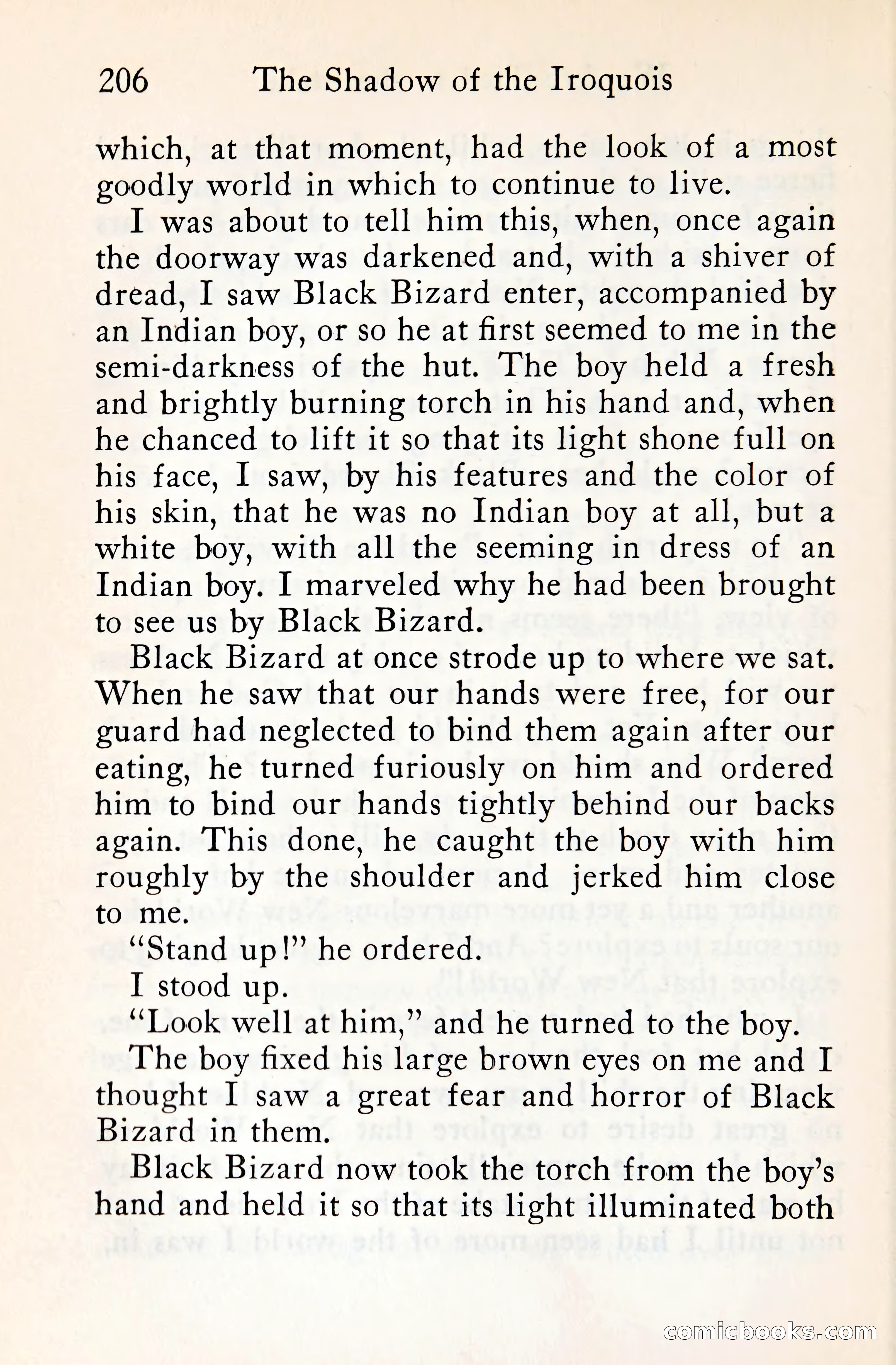 The Shadow of the Iroquois — page 225 of 399