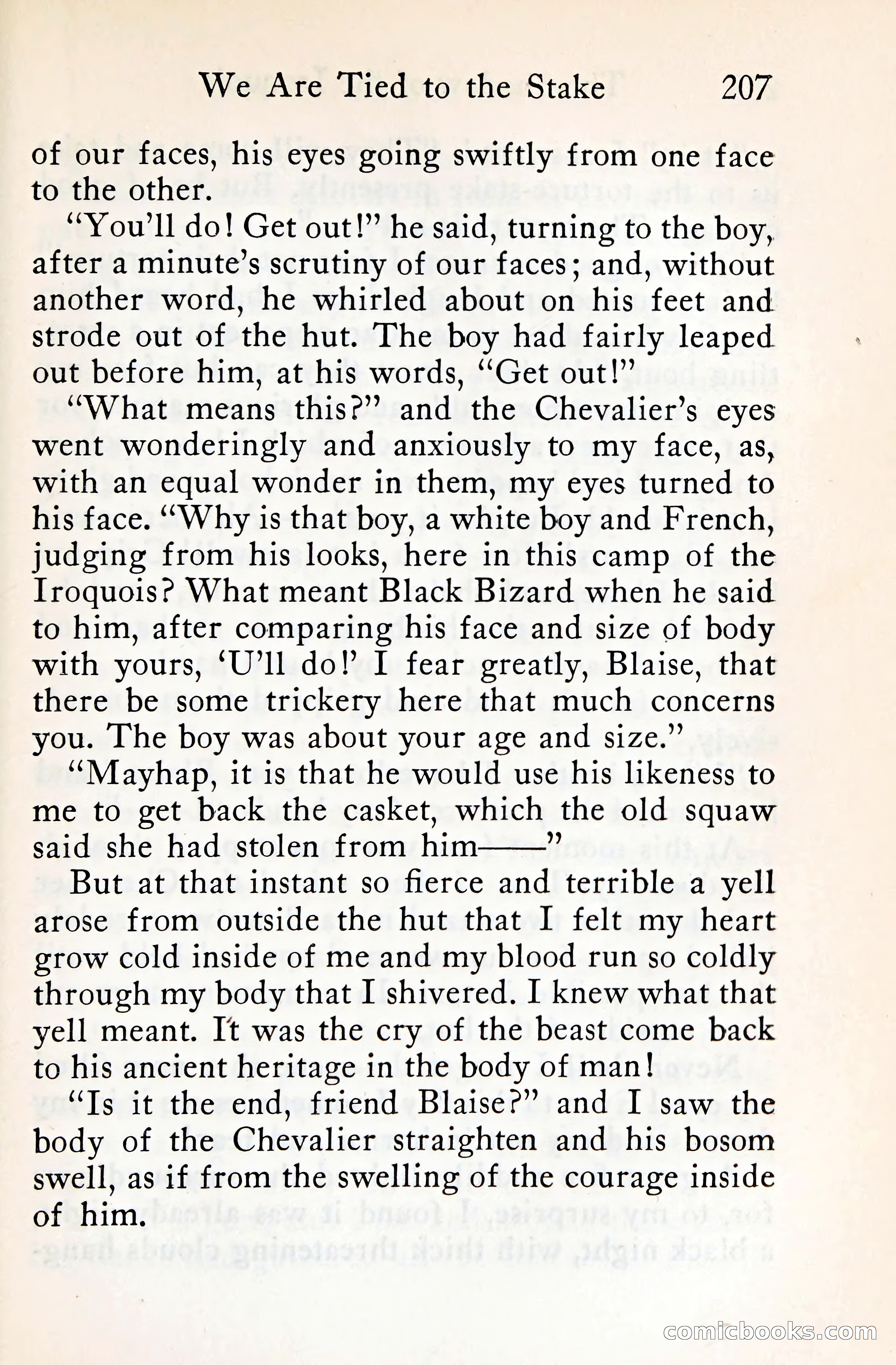 The Shadow of the Iroquois — page 226 of 399