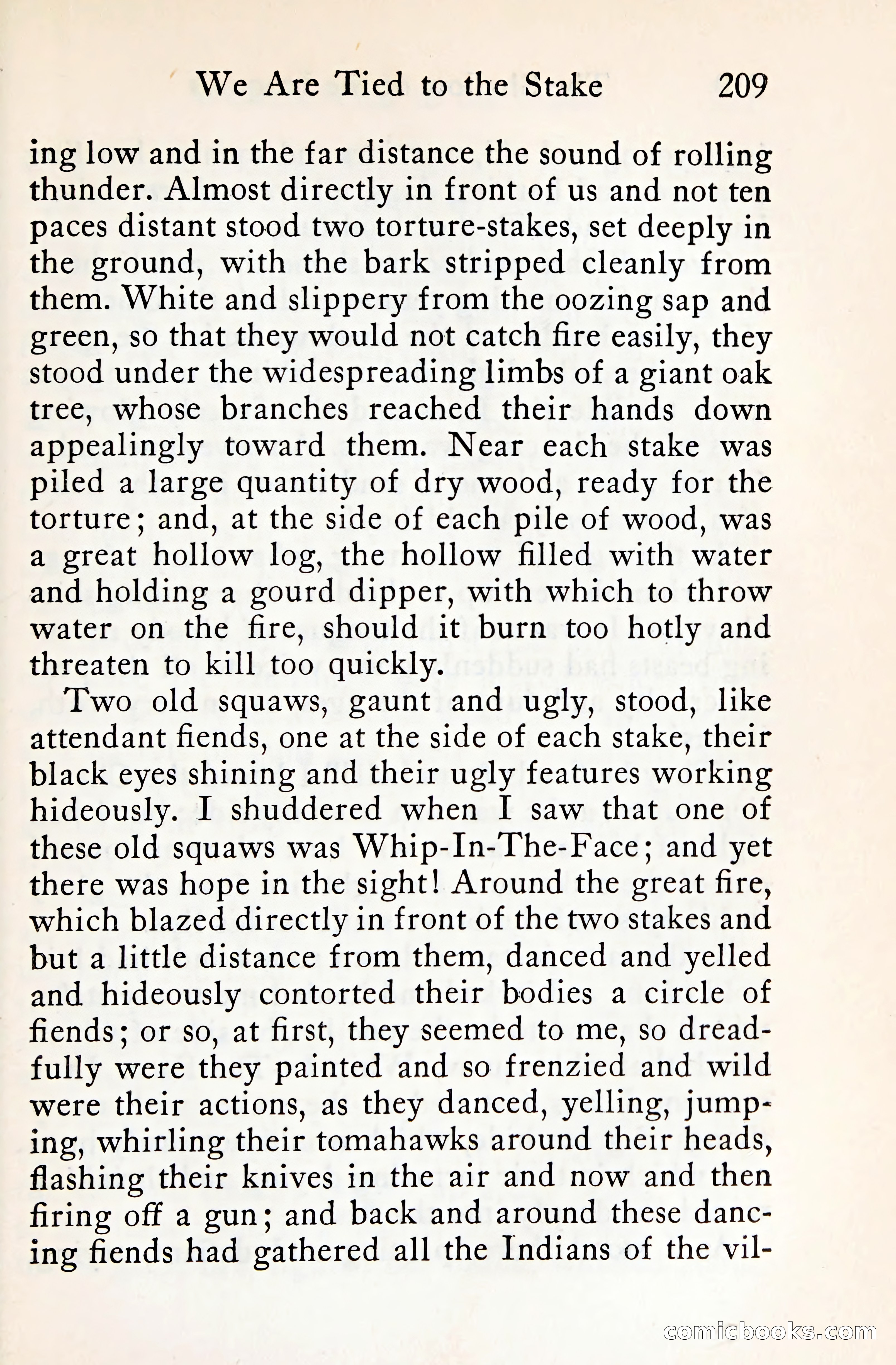The Shadow of the Iroquois — page 228 of 399