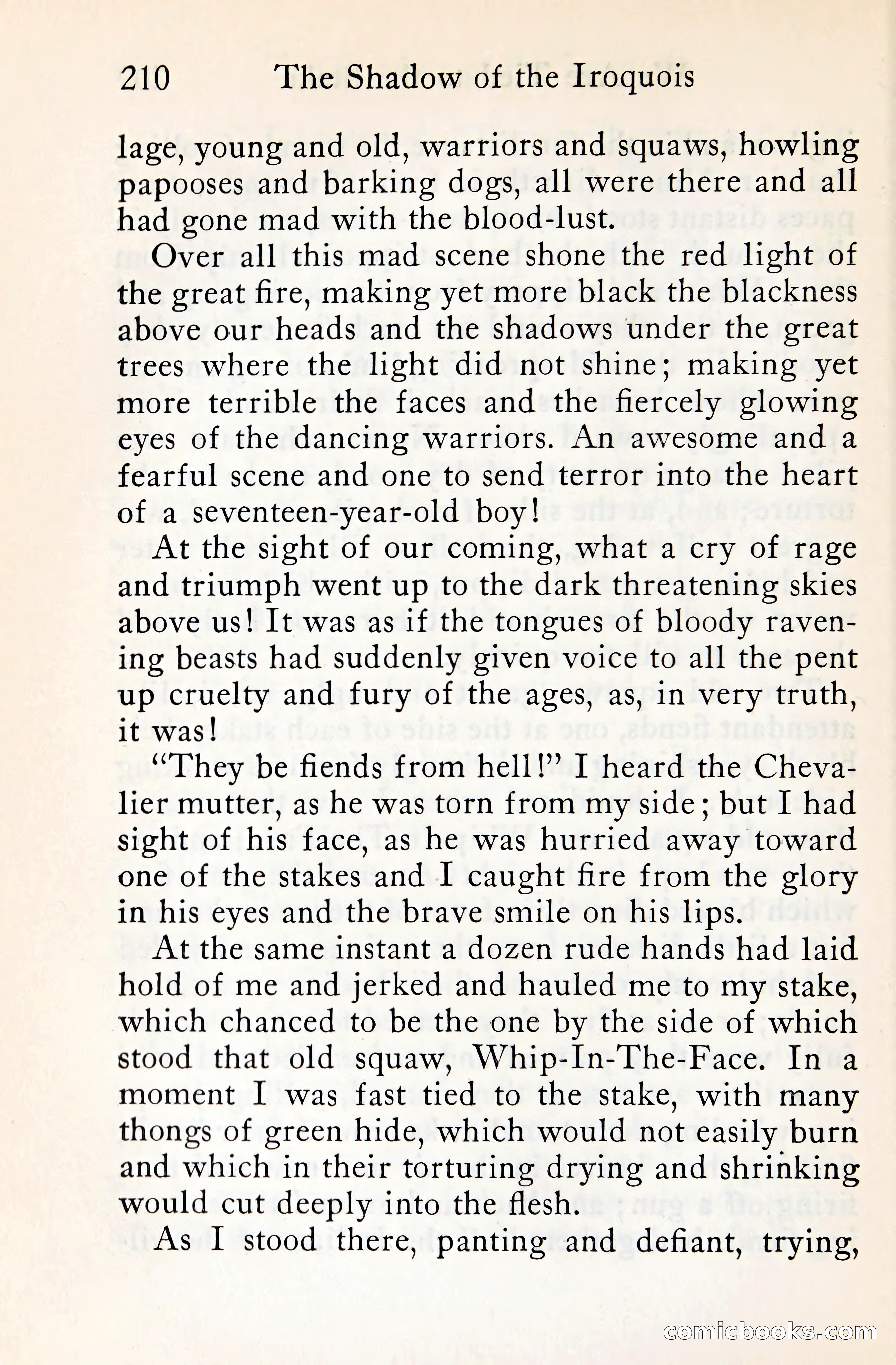 The Shadow of the Iroquois — page 229 of 399