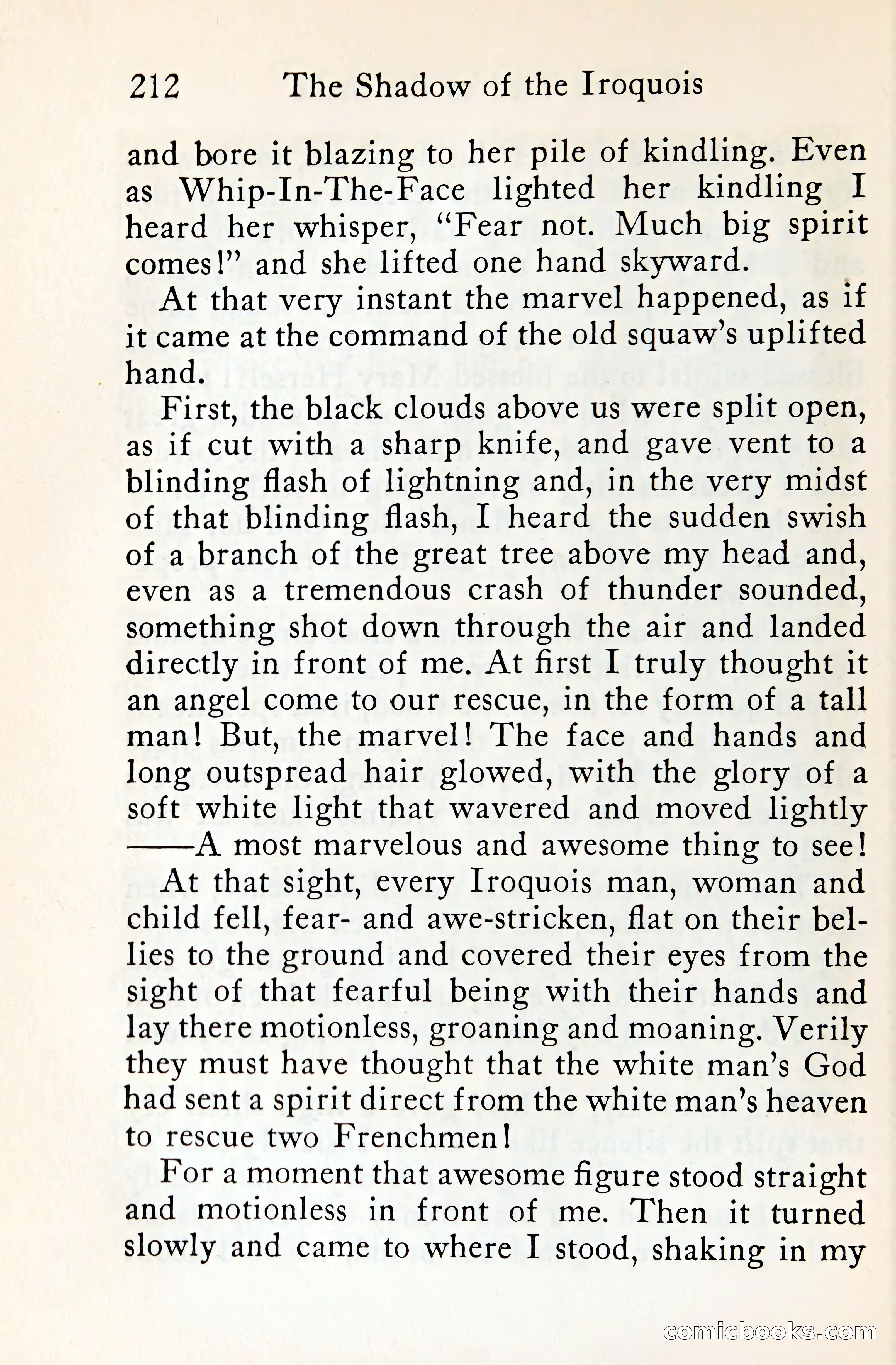 The Shadow of the Iroquois — page 231 of 399