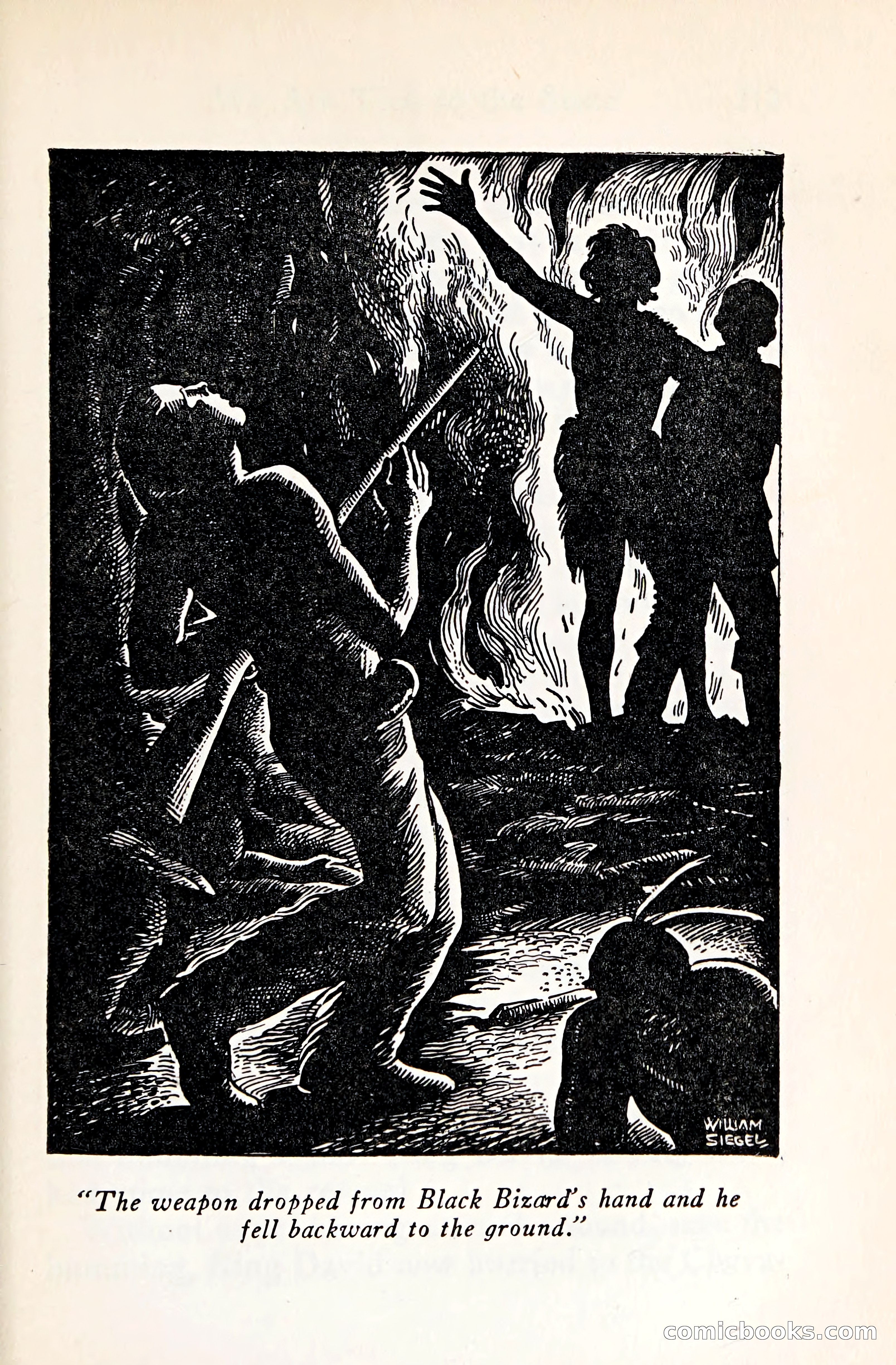 The Shadow of the Iroquois — page 232 of 399