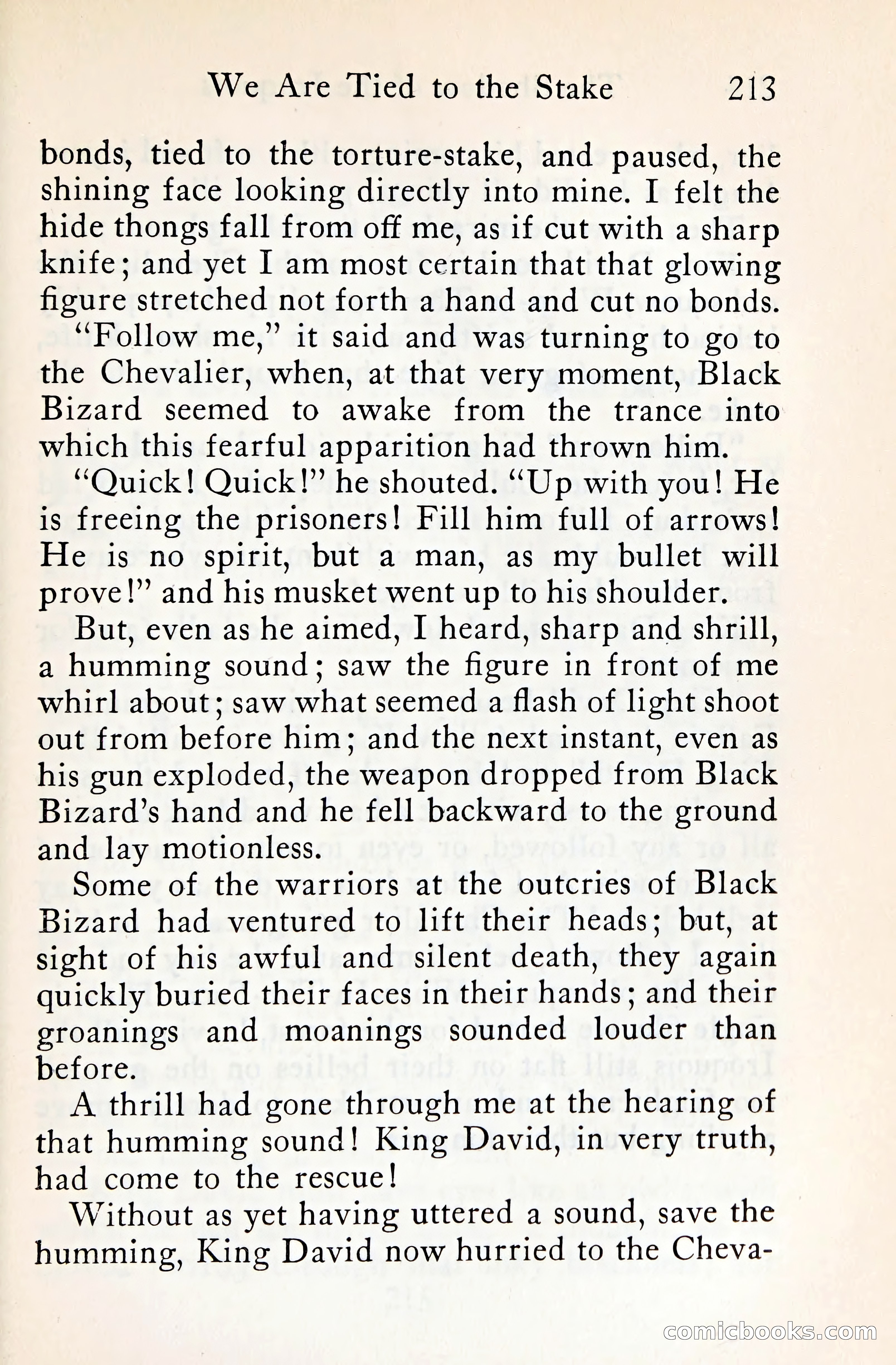 The Shadow of the Iroquois — page 234 of 399