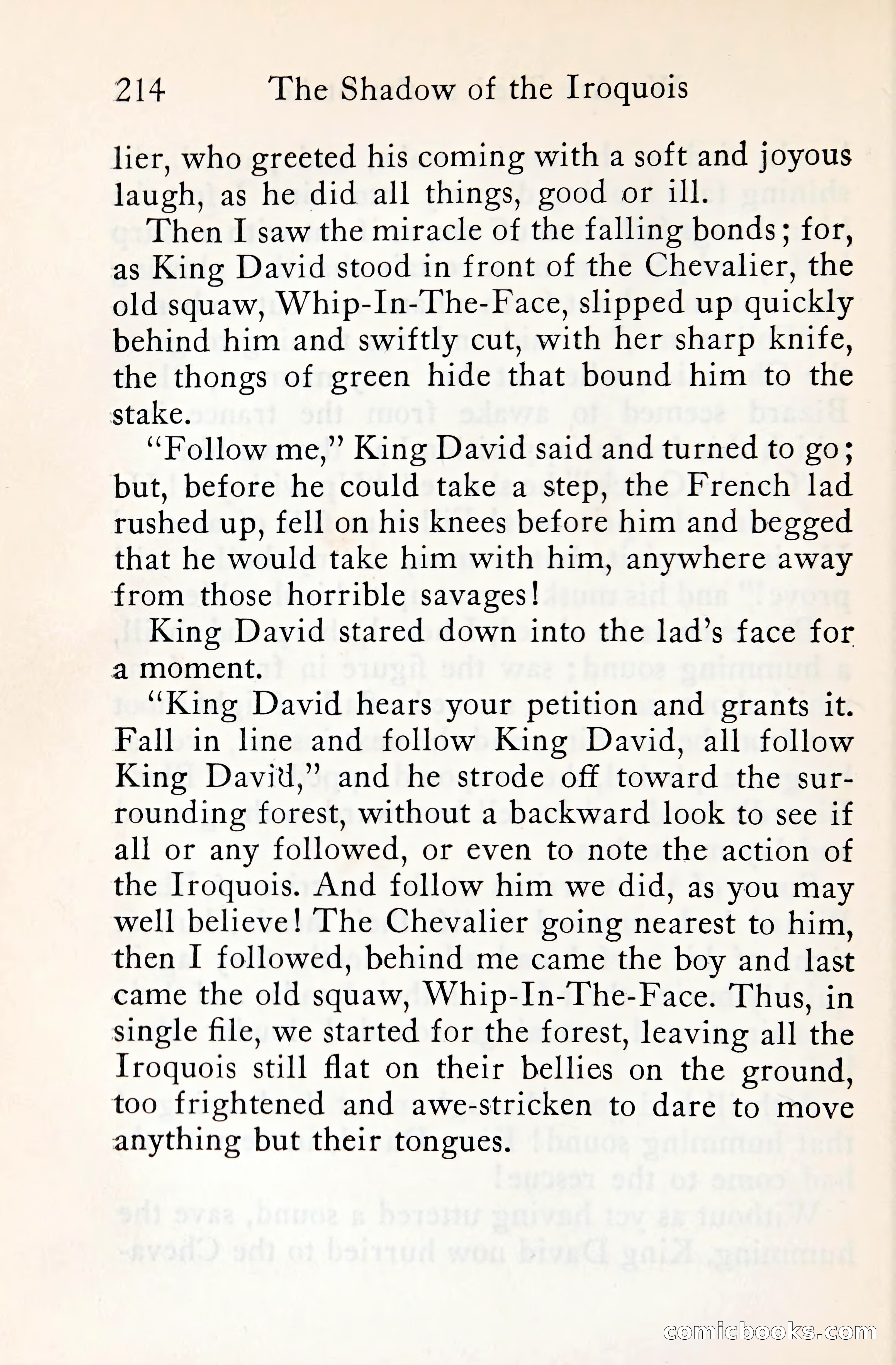 The Shadow of the Iroquois — page 235 of 399