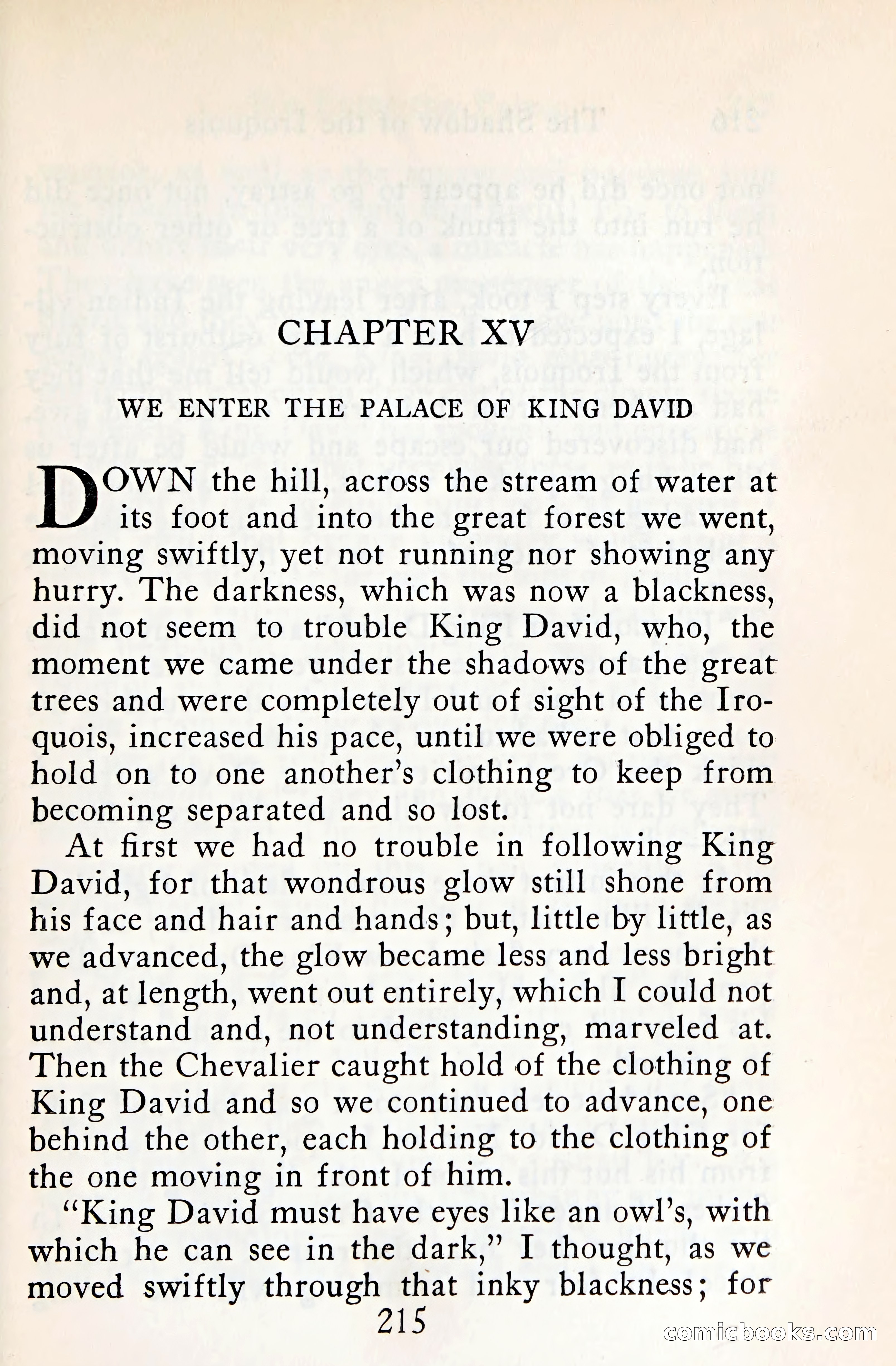The Shadow of the Iroquois — page 236 of 399