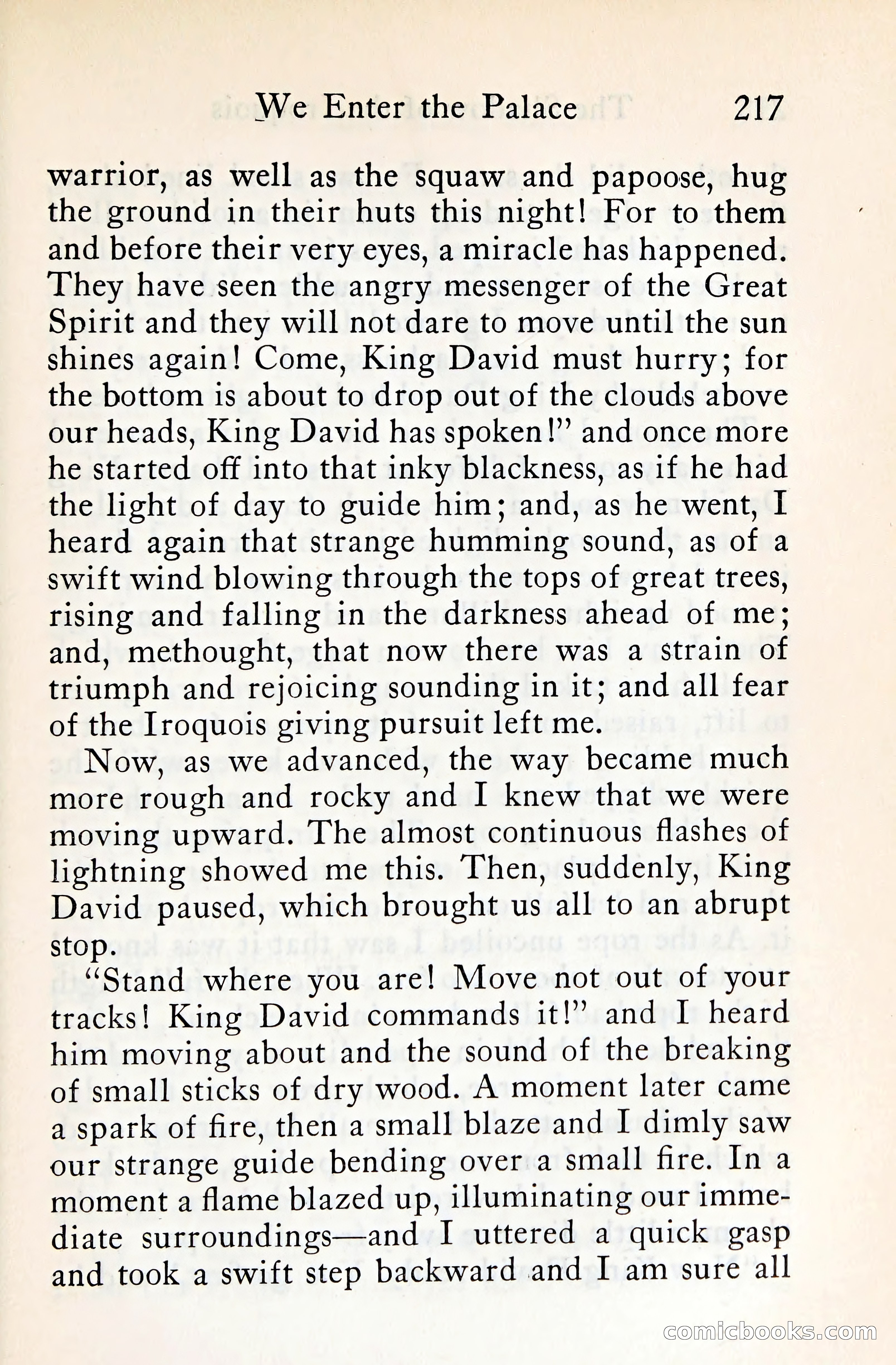 The Shadow of the Iroquois — page 238 of 399