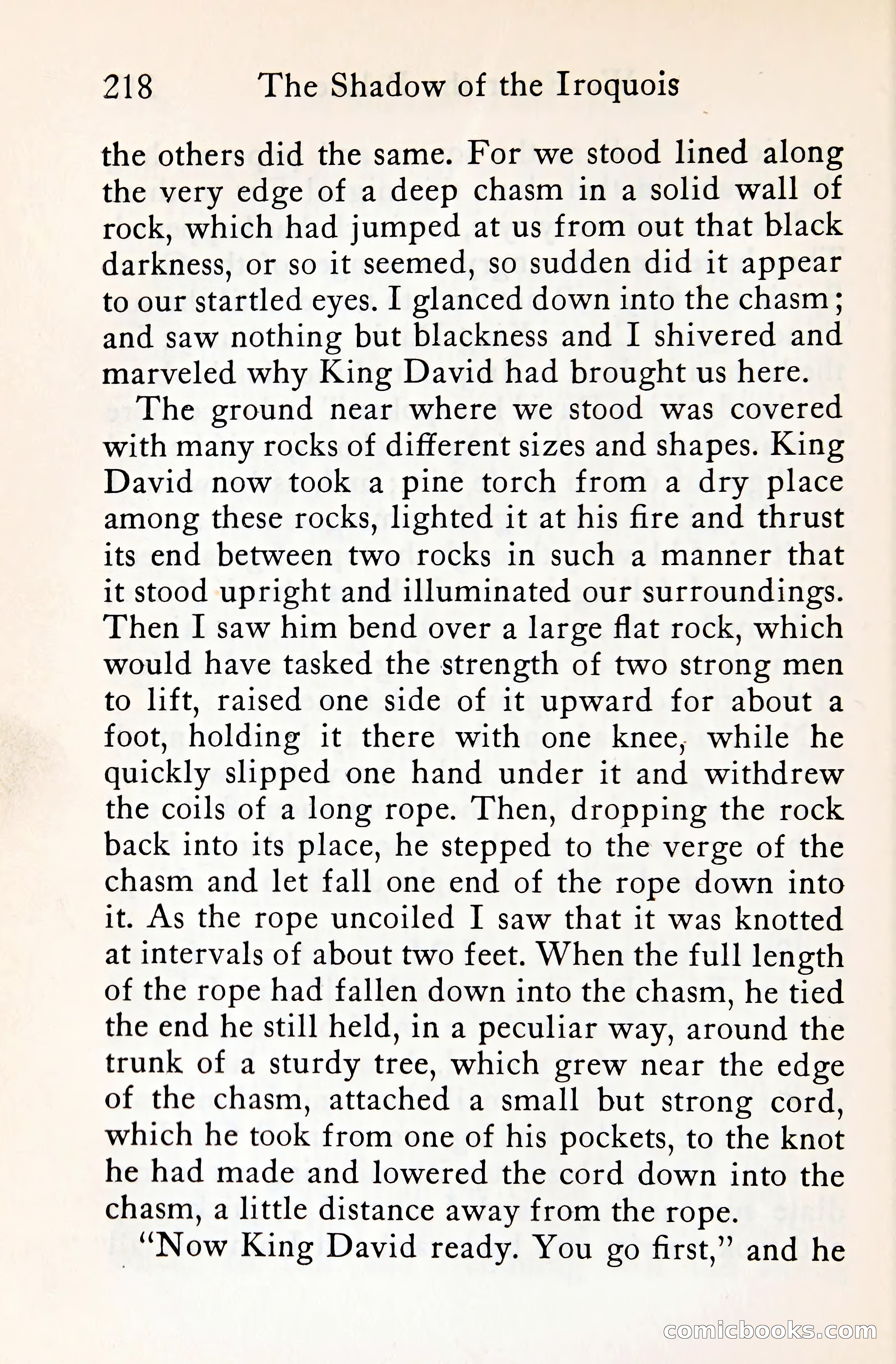 The Shadow of the Iroquois — page 239 of 399